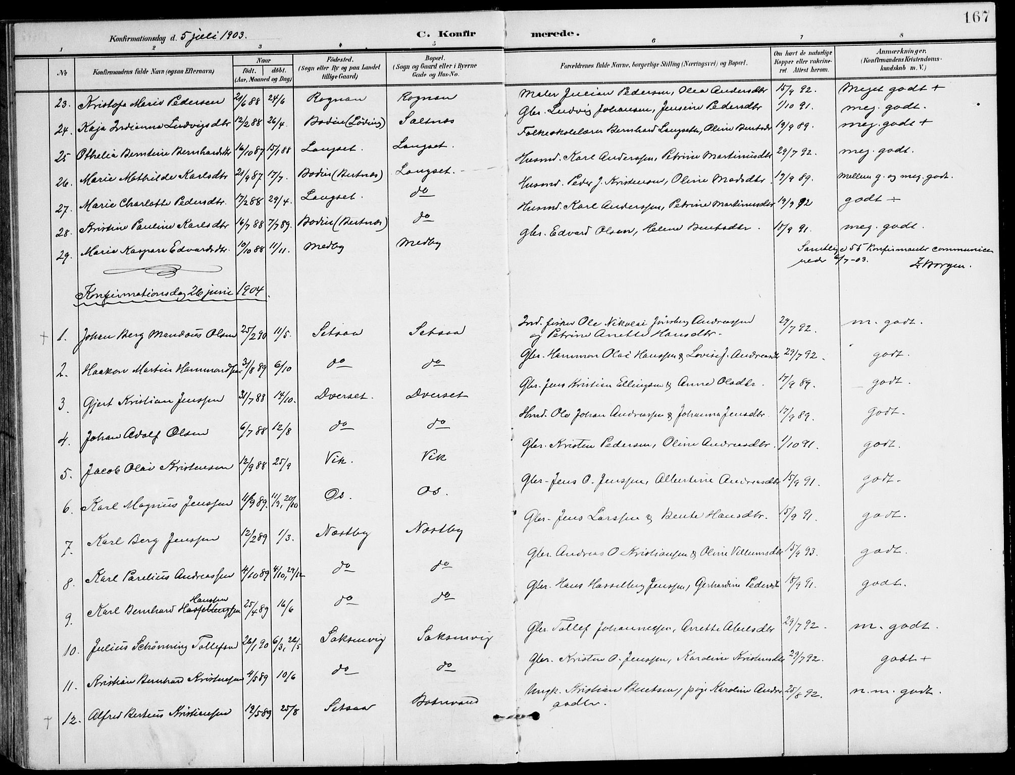 Ministerialprotokoller, klokkerbøker og fødselsregistre - Nordland, AV/SAT-A-1459/847/L0672: Parish register (official) no. 847A12, 1902-1919, p. 167