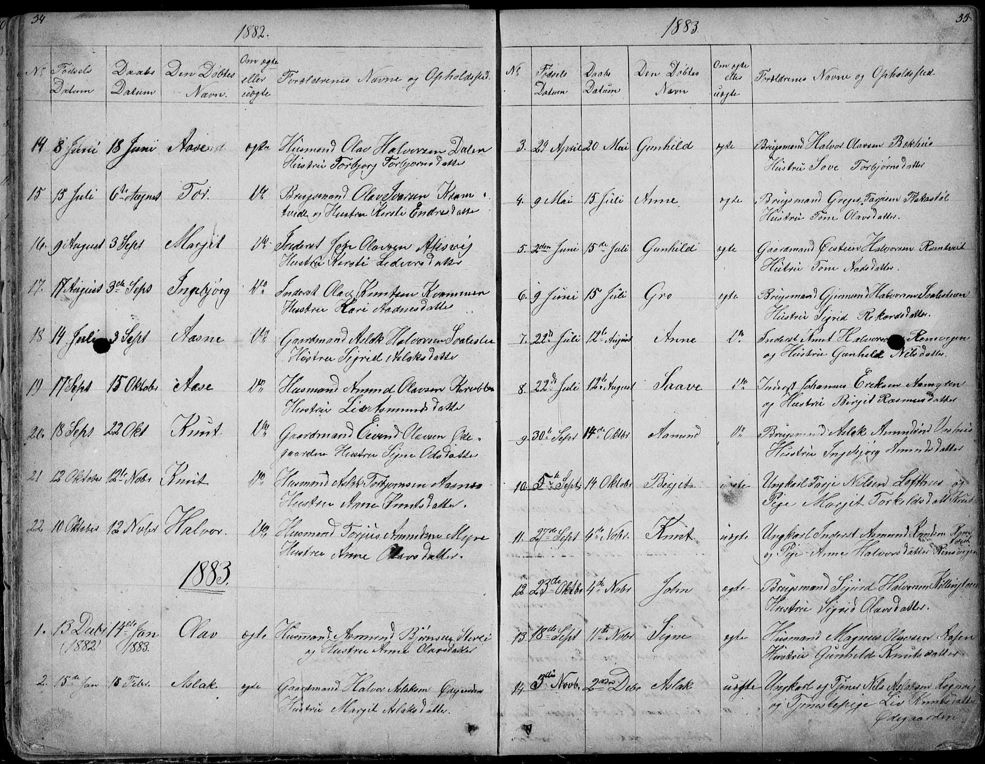 Rauland kirkebøker, AV/SAKO-A-292/G/Ga/L0002: Parish register (copy) no. I 2, 1849-1935, p. 54-55