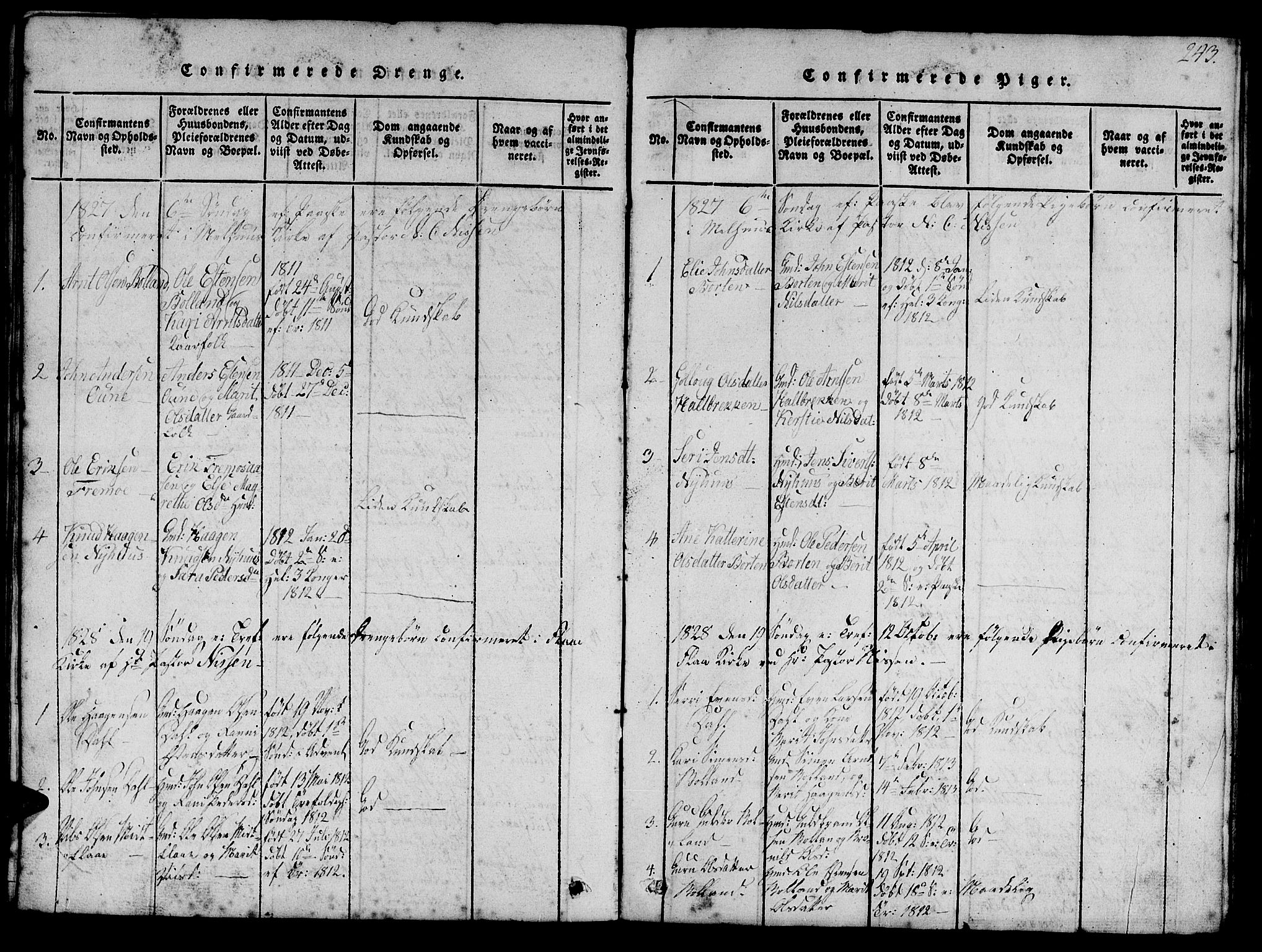 Ministerialprotokoller, klokkerbøker og fødselsregistre - Sør-Trøndelag, SAT/A-1456/693/L1121: Parish register (copy) no. 693C02, 1816-1869, p. 243