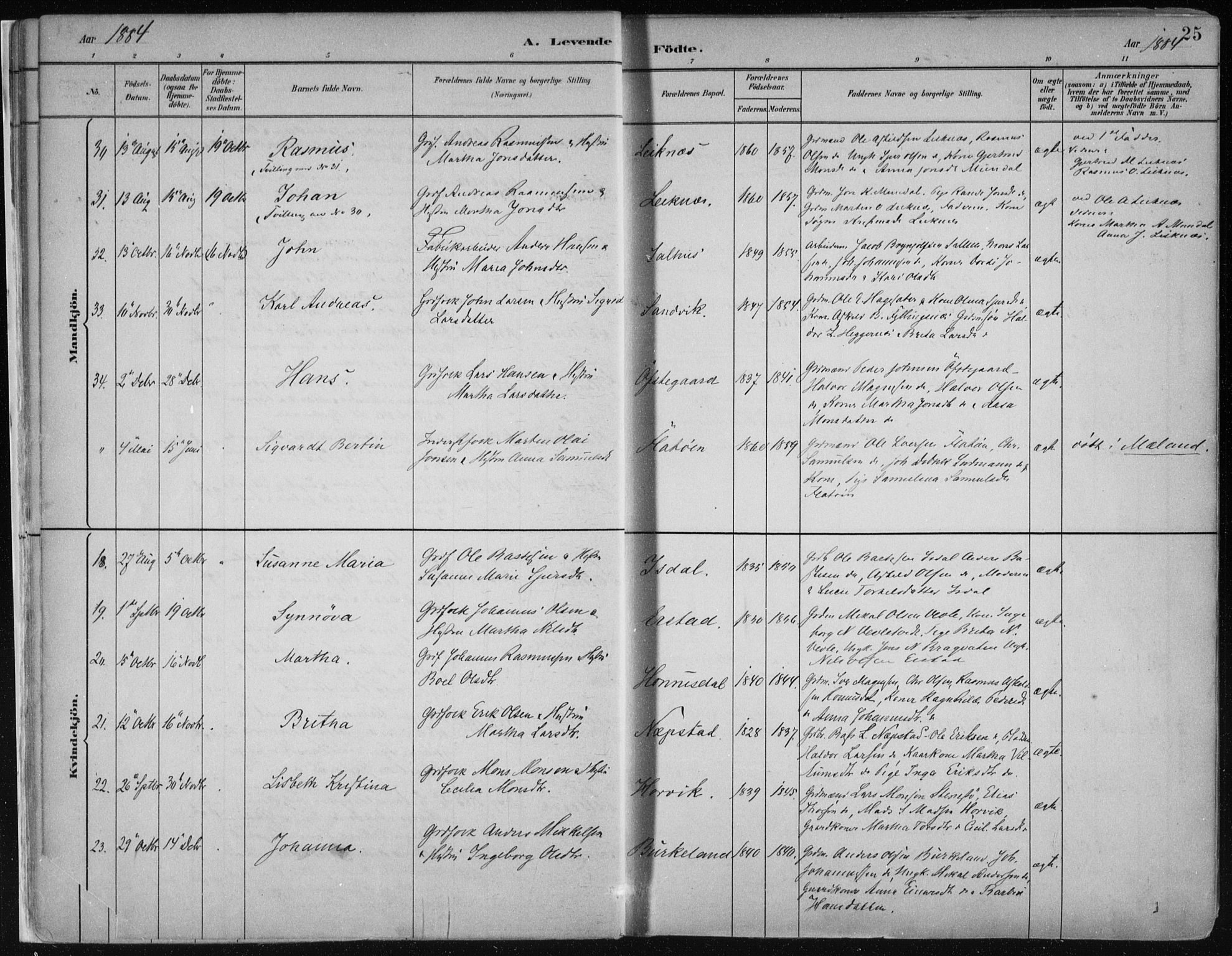 Hamre sokneprestembete, AV/SAB-A-75501/H/Ha/Haa/Haab/L0001: Parish register (official) no. B  1, 1882-1905, p. 25