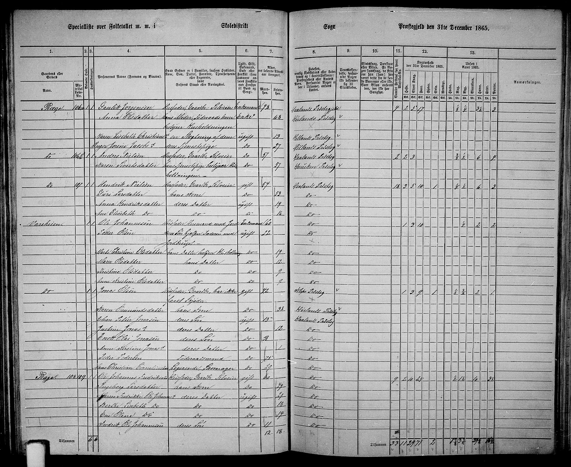 RA, 1865 census for Håland, 1865, p. 55