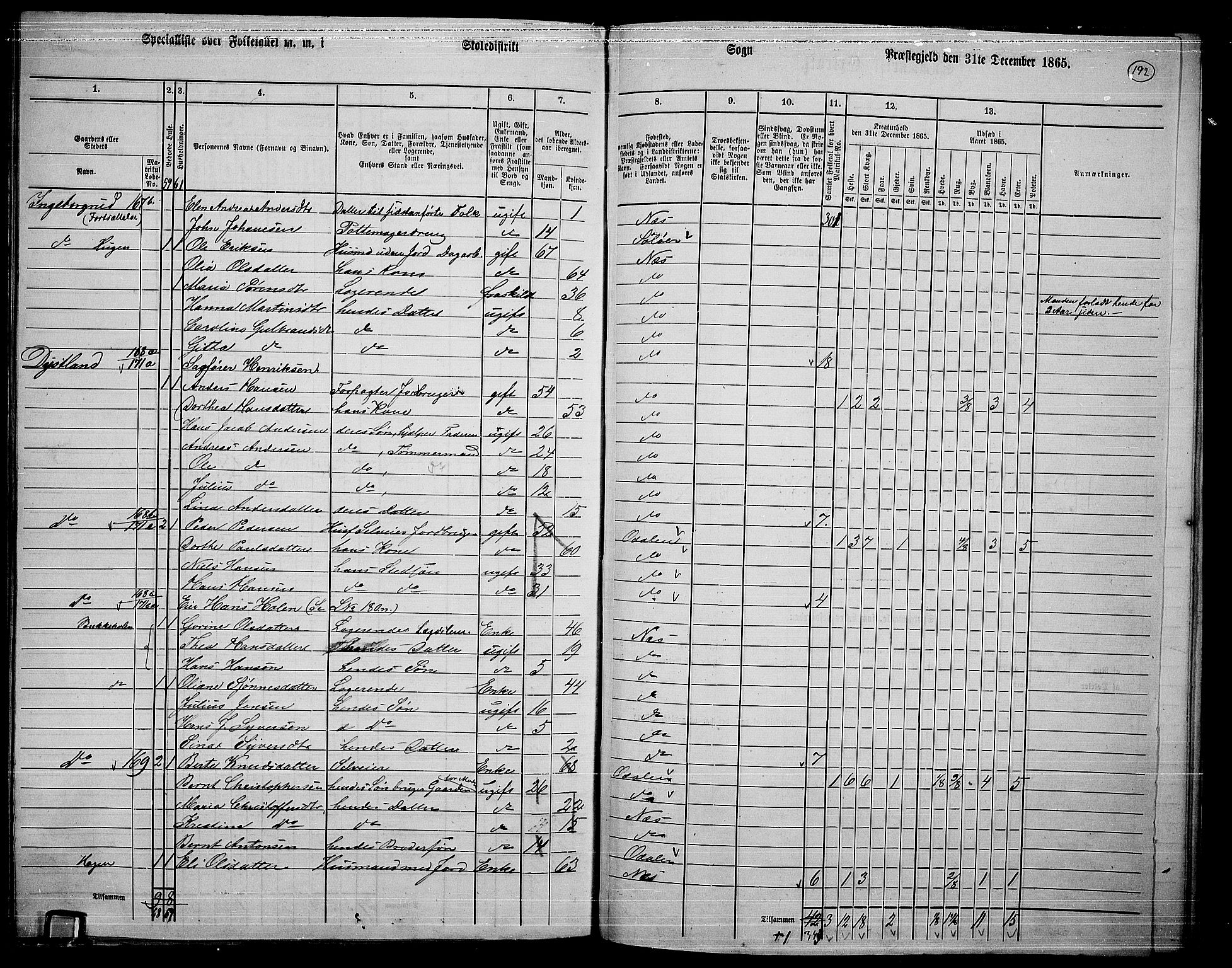 RA, 1865 census for Nes, 1865, p. 175