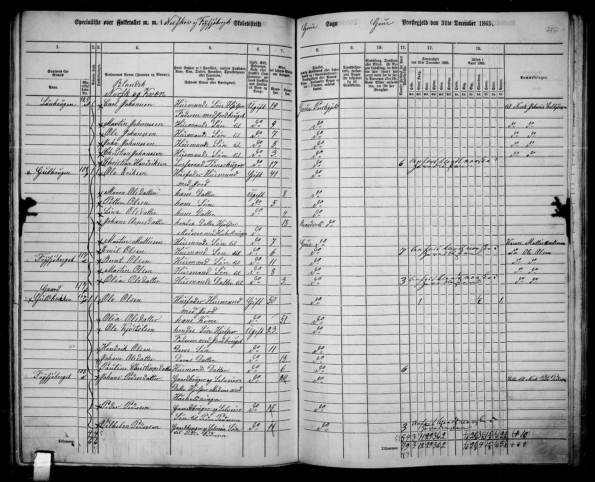 RA, 1865 census for Grue, 1865, p. 199