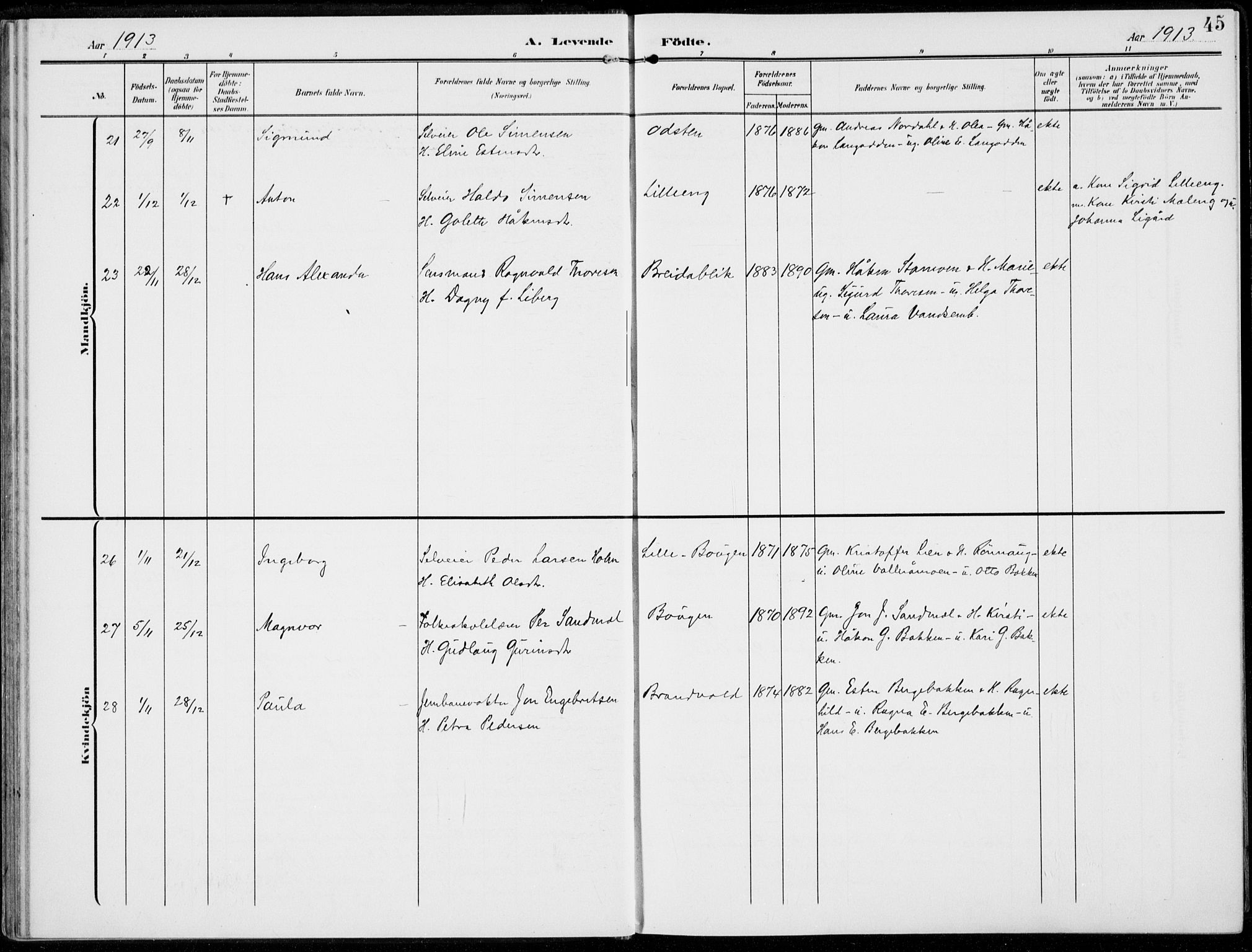 Alvdal prestekontor, SAH/PREST-060/H/Ha/Haa/L0004: Parish register (official) no. 4, 1907-1919, p. 45