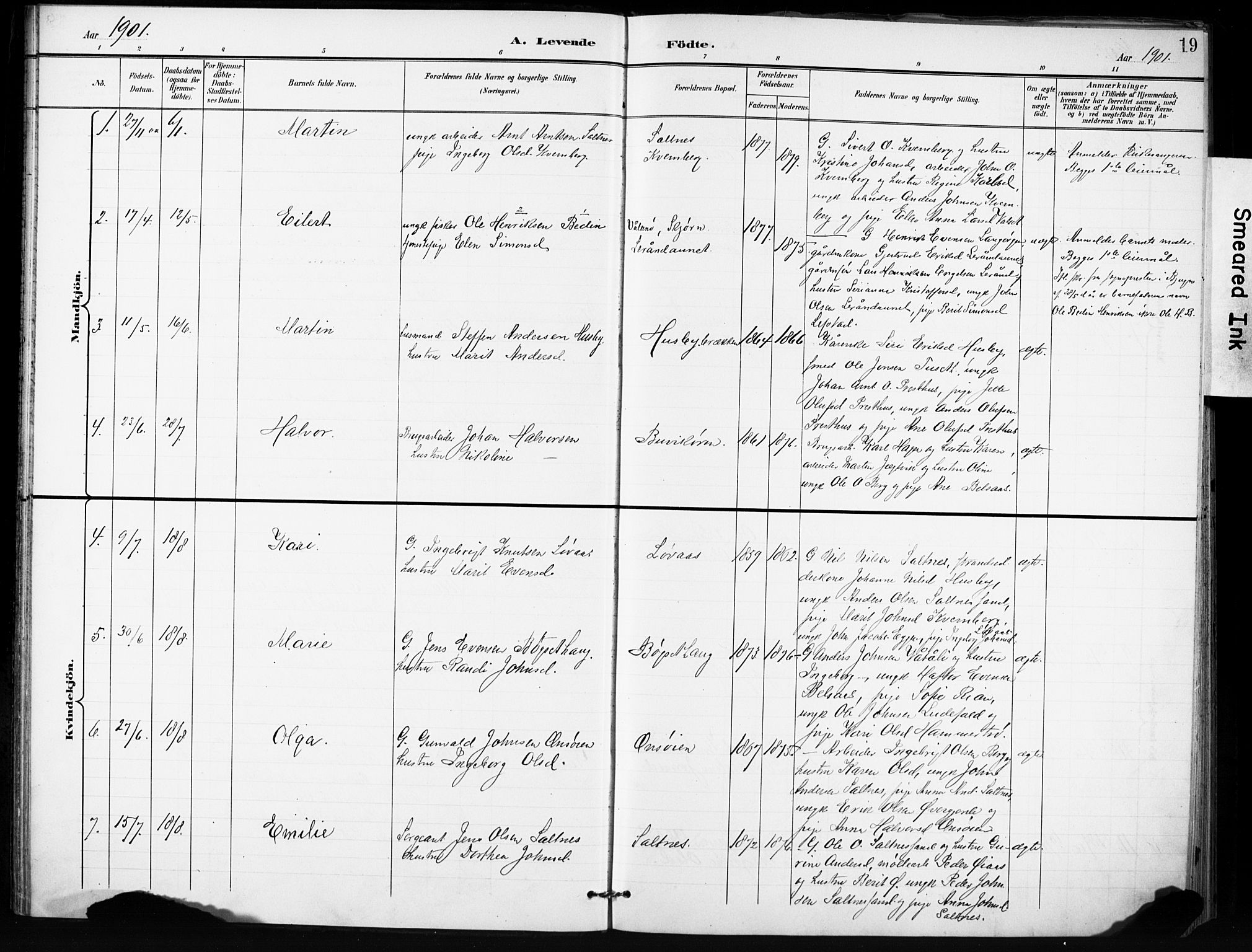 Ministerialprotokoller, klokkerbøker og fødselsregistre - Sør-Trøndelag, SAT/A-1456/666/L0787: Parish register (official) no. 666A05, 1895-1908, p. 19