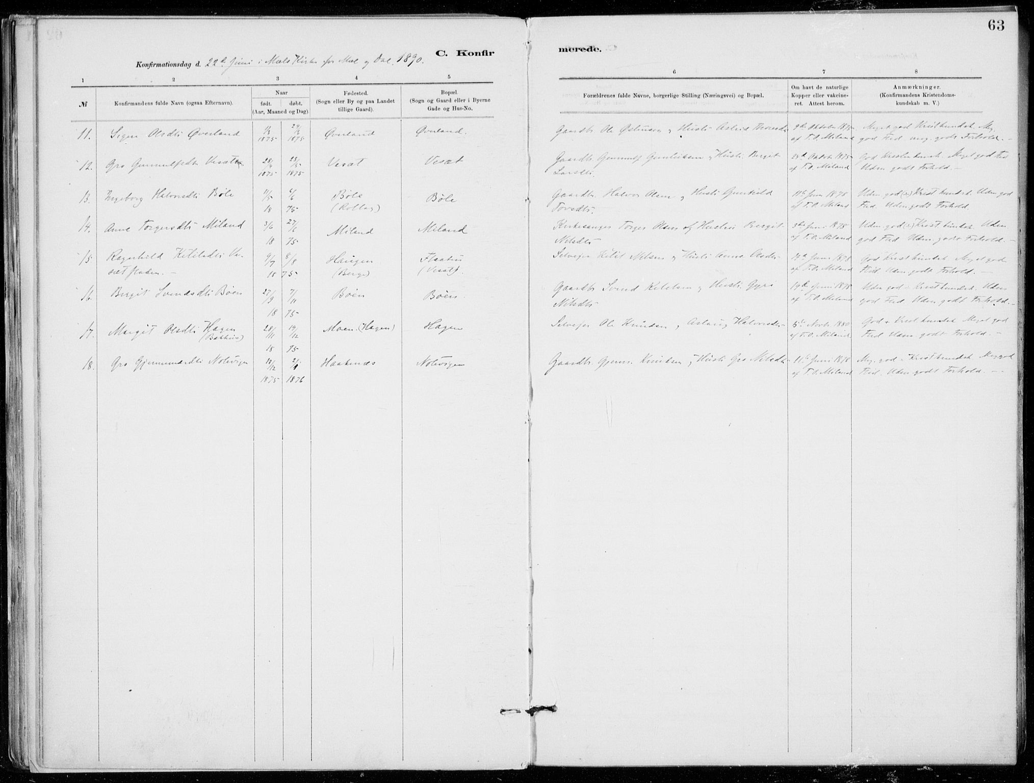 Tinn kirkebøker, SAKO/A-308/F/Fb/L0002: Parish register (official) no. II 2, 1878-1917, p. 63