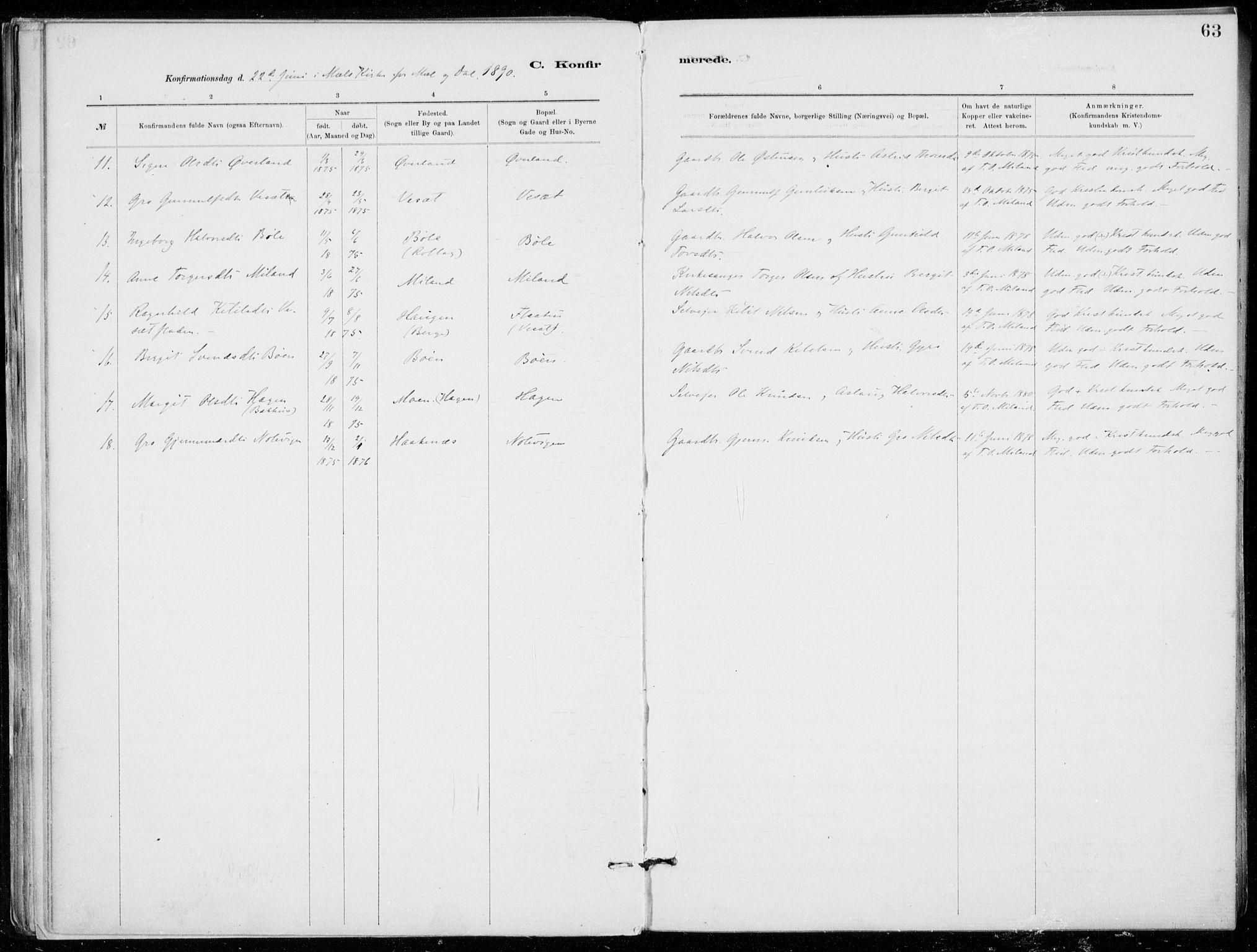 Tinn kirkebøker, AV/SAKO-A-308/F/Fb/L0002: Parish register (official) no. II 2, 1878-1917, p. 63