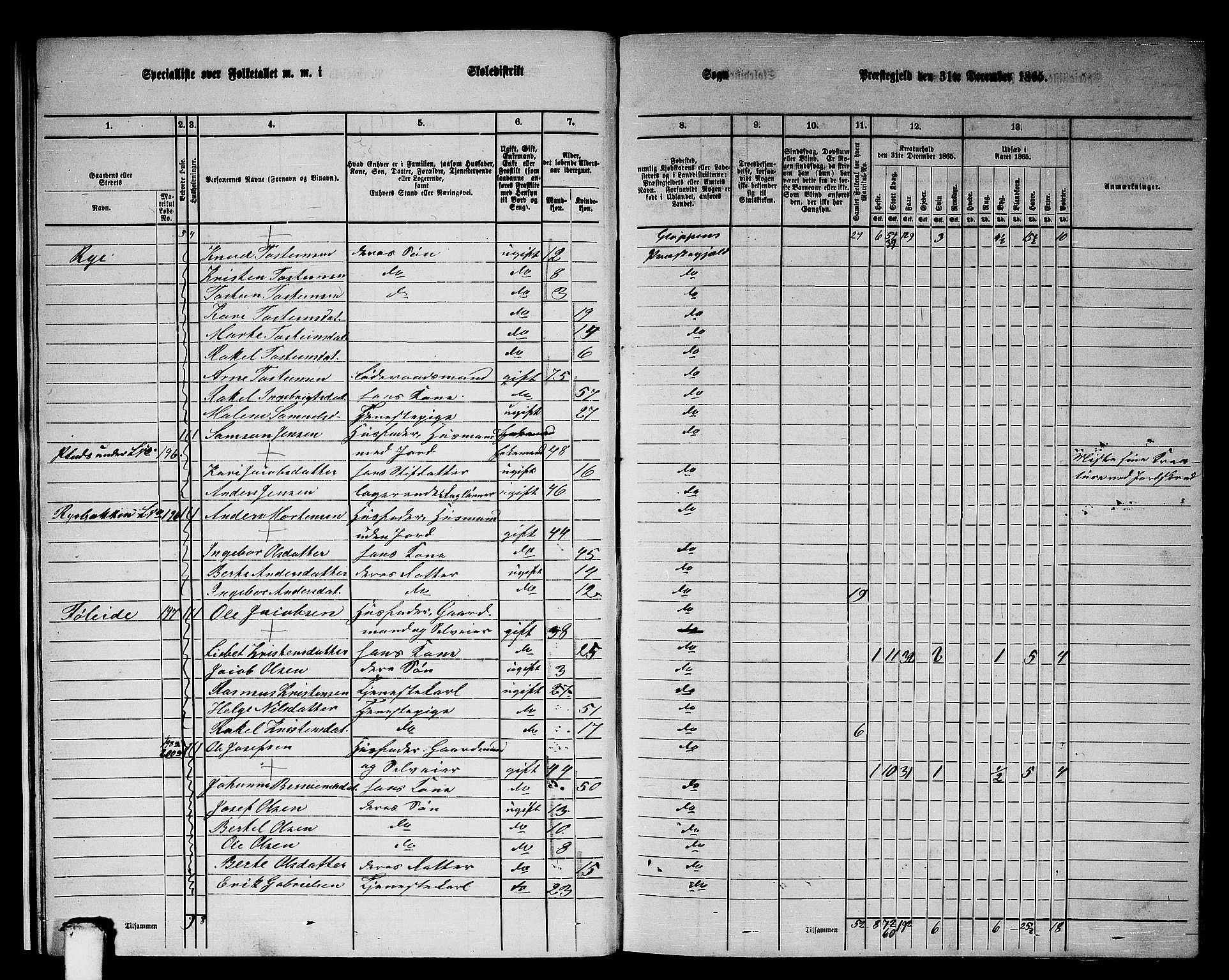 RA, 1865 census for Gloppen, 1865, p. 17