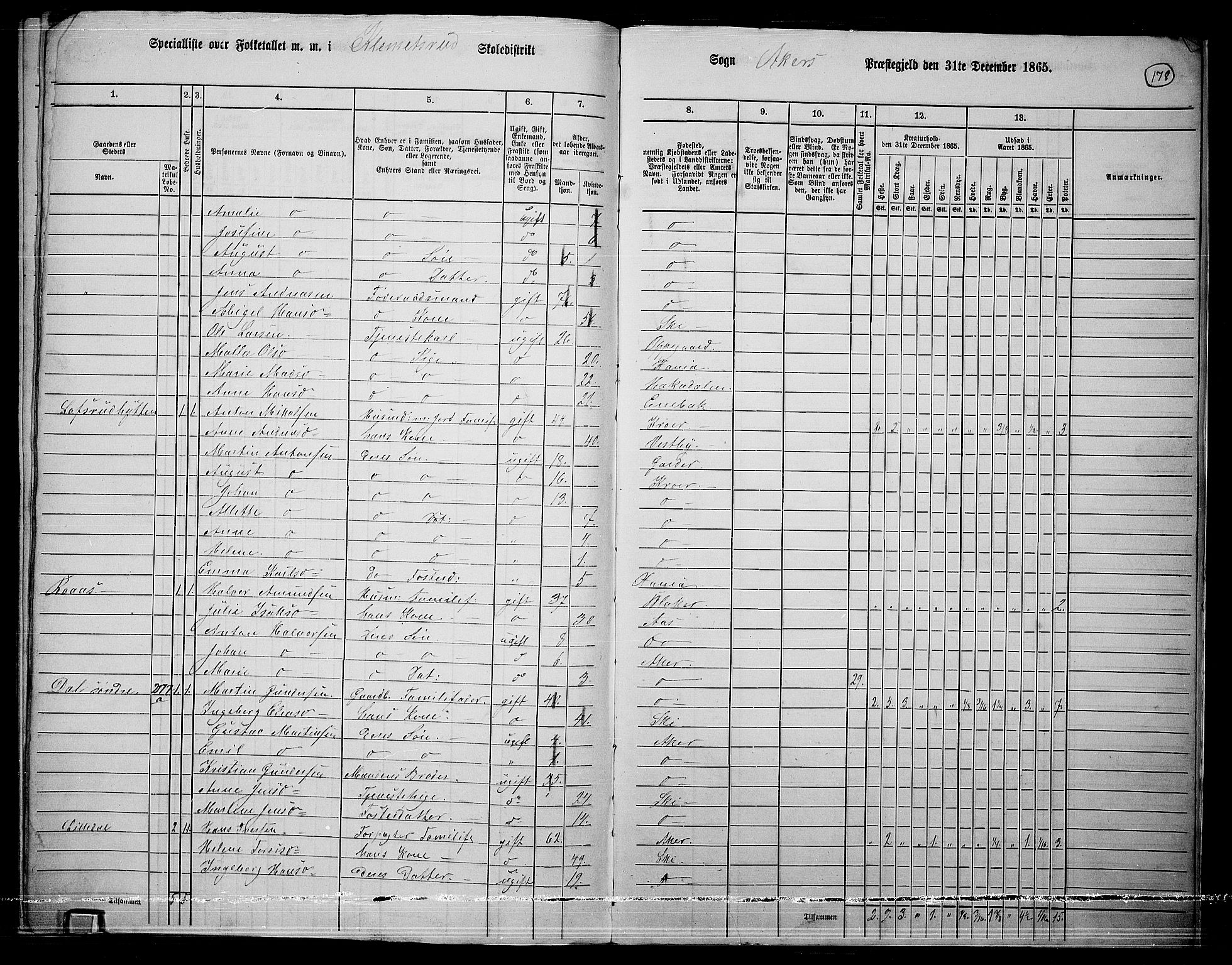 RA, 1865 census for Østre Aker, 1865, p. 396