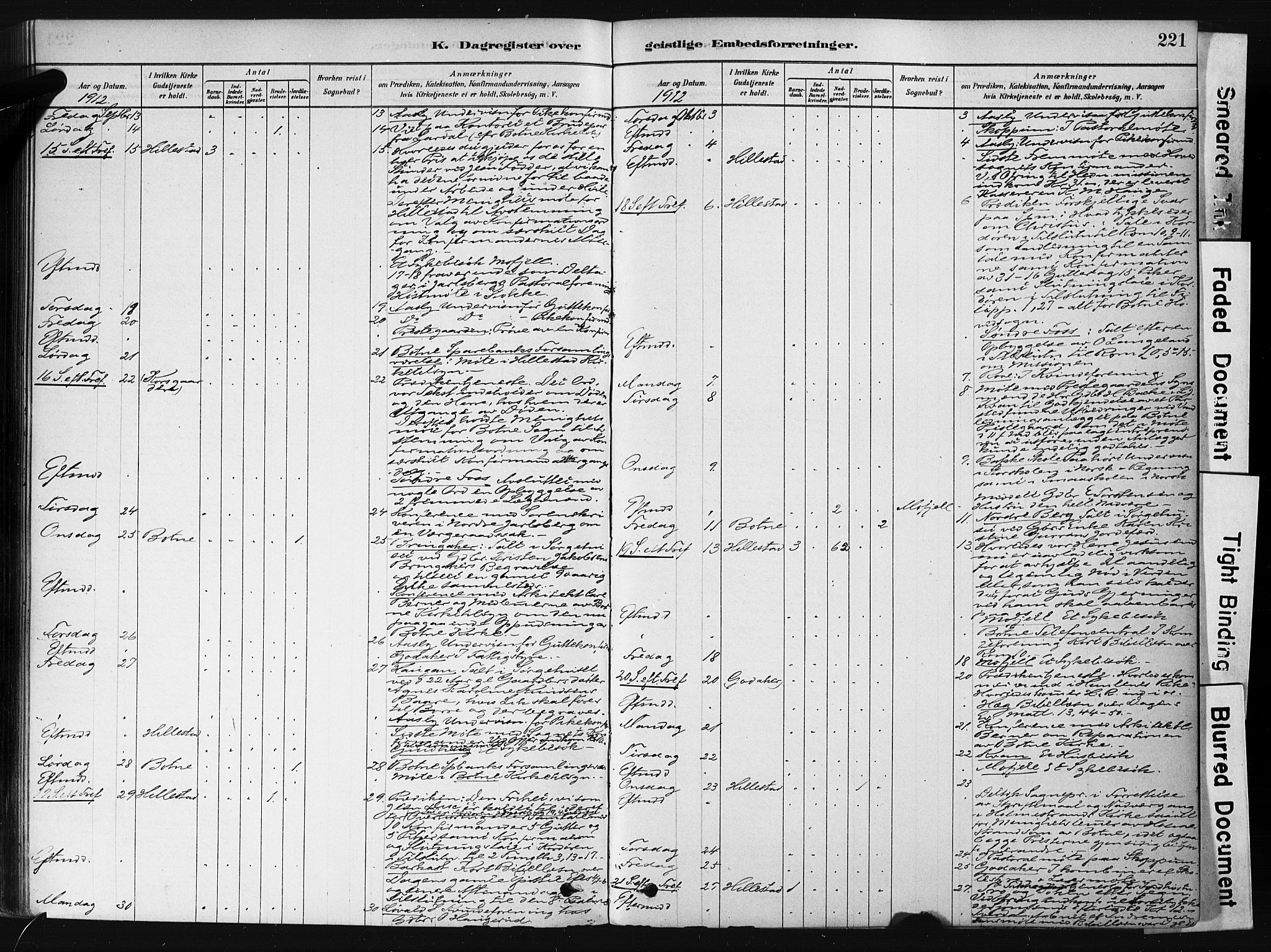 Botne kirkebøker, SAKO/A-340/F/Fb/L0001: Parish register (official) no. II 1, 1878-1902, p. 221