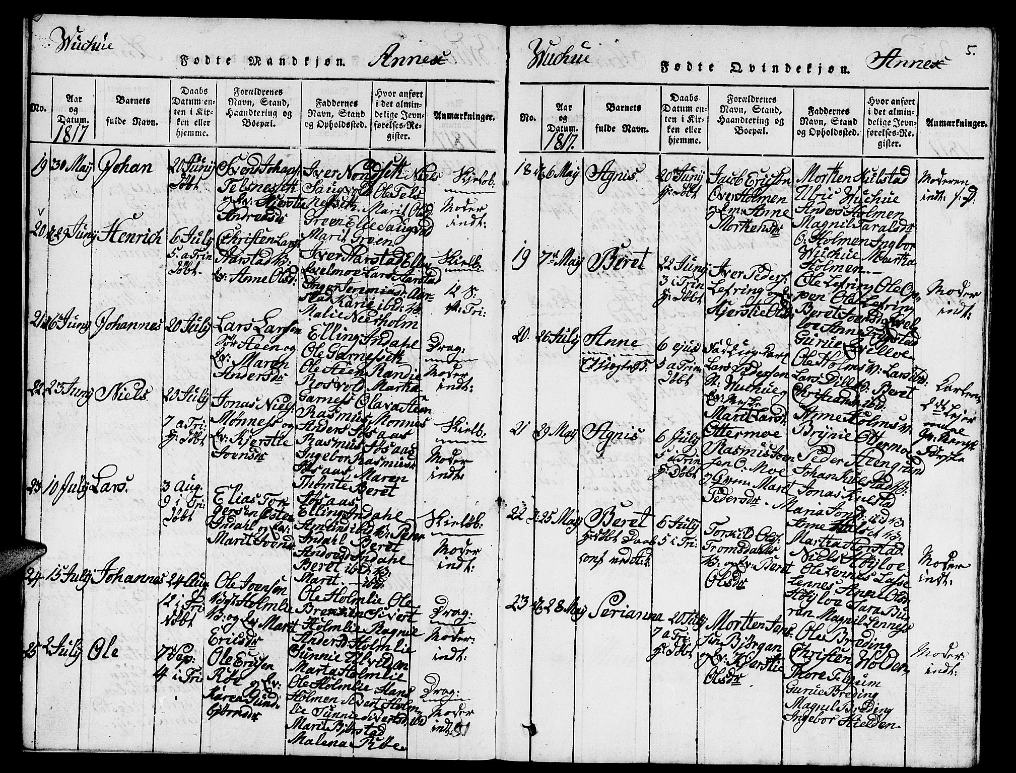 Ministerialprotokoller, klokkerbøker og fødselsregistre - Nord-Trøndelag, AV/SAT-A-1458/724/L0265: Parish register (copy) no. 724C01, 1816-1845, p. 5