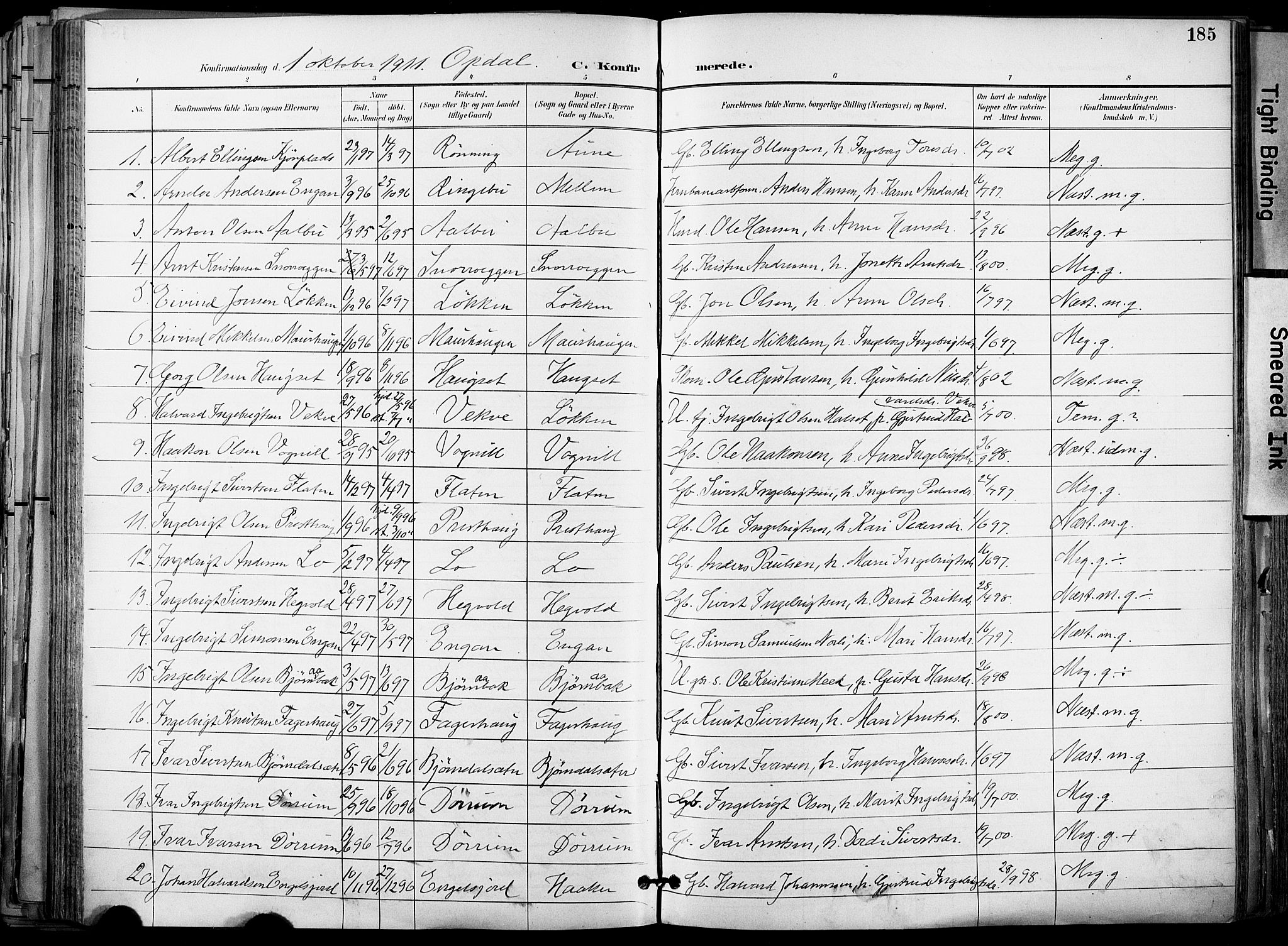 Ministerialprotokoller, klokkerbøker og fødselsregistre - Sør-Trøndelag, SAT/A-1456/678/L0902: Parish register (official) no. 678A11, 1895-1911, p. 185