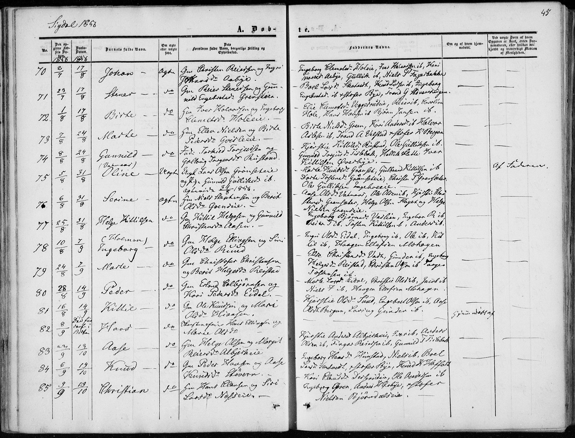 Sigdal kirkebøker, AV/SAKO-A-245/F/Fa/L0008: Parish register (official) no. I 8, 1850-1859, p. 45