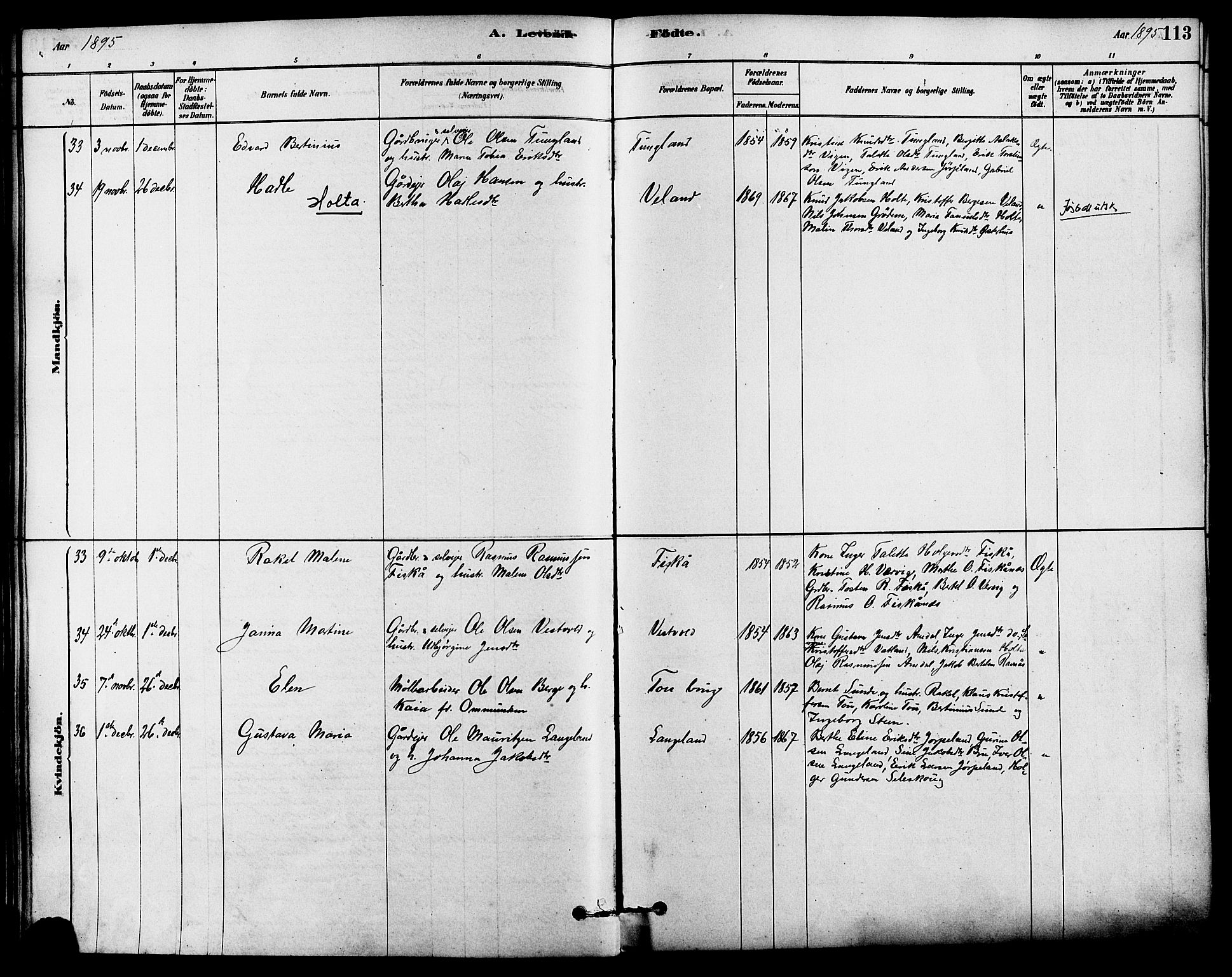 Strand sokneprestkontor, SAST/A-101828/H/Ha/Haa/L0009: Parish register (official) no. A 9, 1877-1908, p. 113