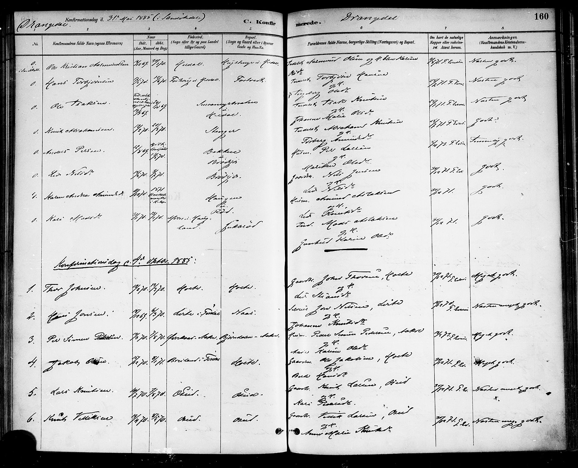 Drangedal kirkebøker, SAKO/A-258/F/Fa/L0010: Parish register (official) no. 10 /1, 1885-1894, p. 160