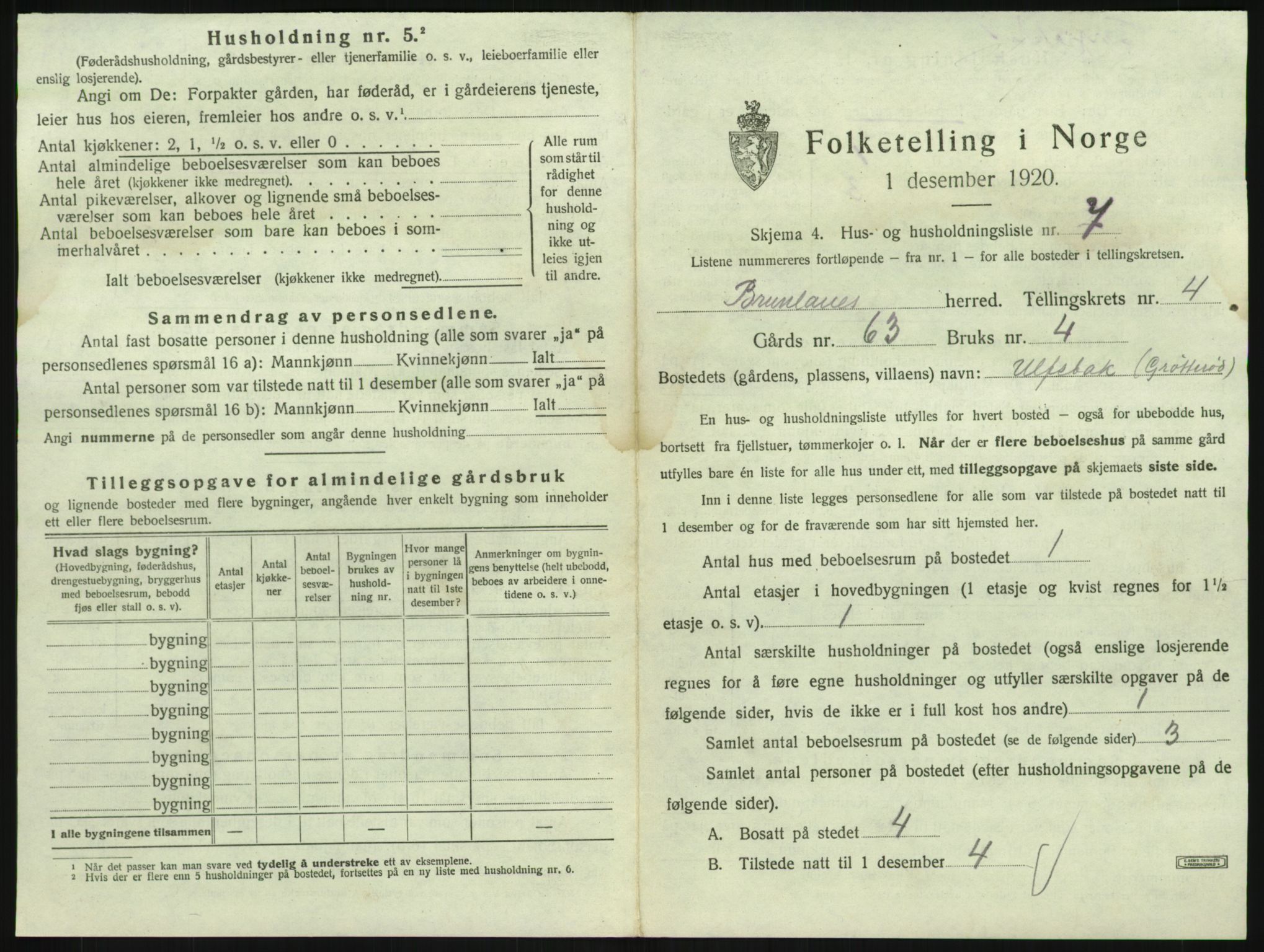 SAKO, 1920 census for Brunlanes, 1920, p. 733