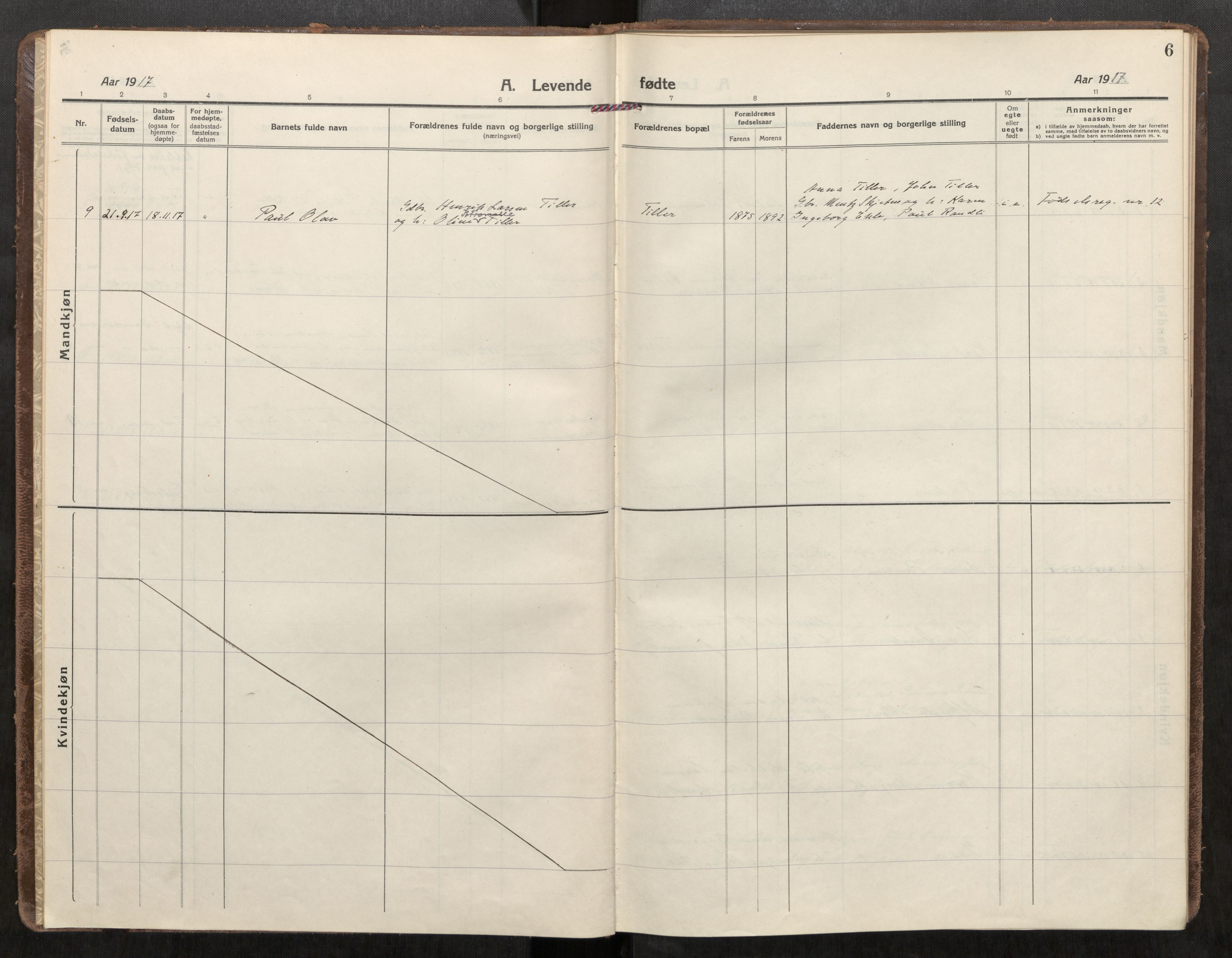 Klæbu sokneprestkontor, SAT/A-1112: Parish register (official) no. 3, 1917-1924, p. 6