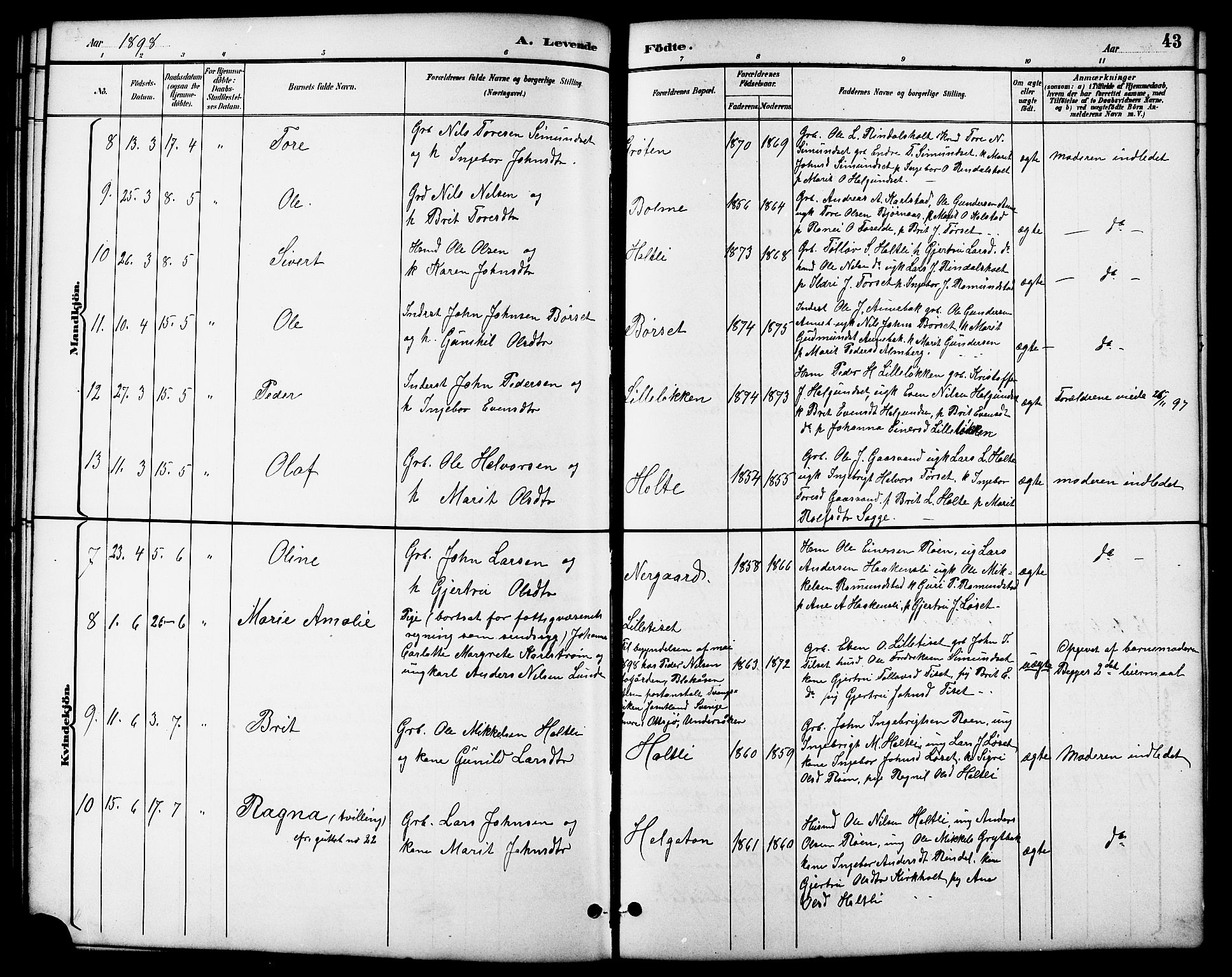 Ministerialprotokoller, klokkerbøker og fødselsregistre - Møre og Romsdal, AV/SAT-A-1454/598/L1078: Parish register (copy) no. 598C03, 1892-1909, p. 43