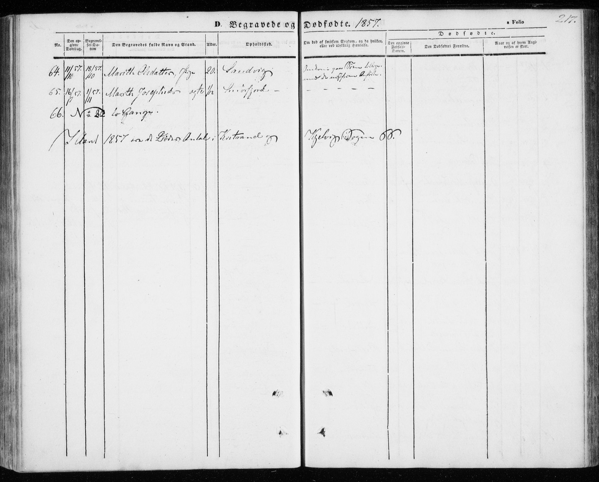 Kistrand/Porsanger sokneprestembete, AV/SATØ-S-1351/H/Ha/L0004.kirke: Parish register (official) no. 4, 1843-1860, p. 217