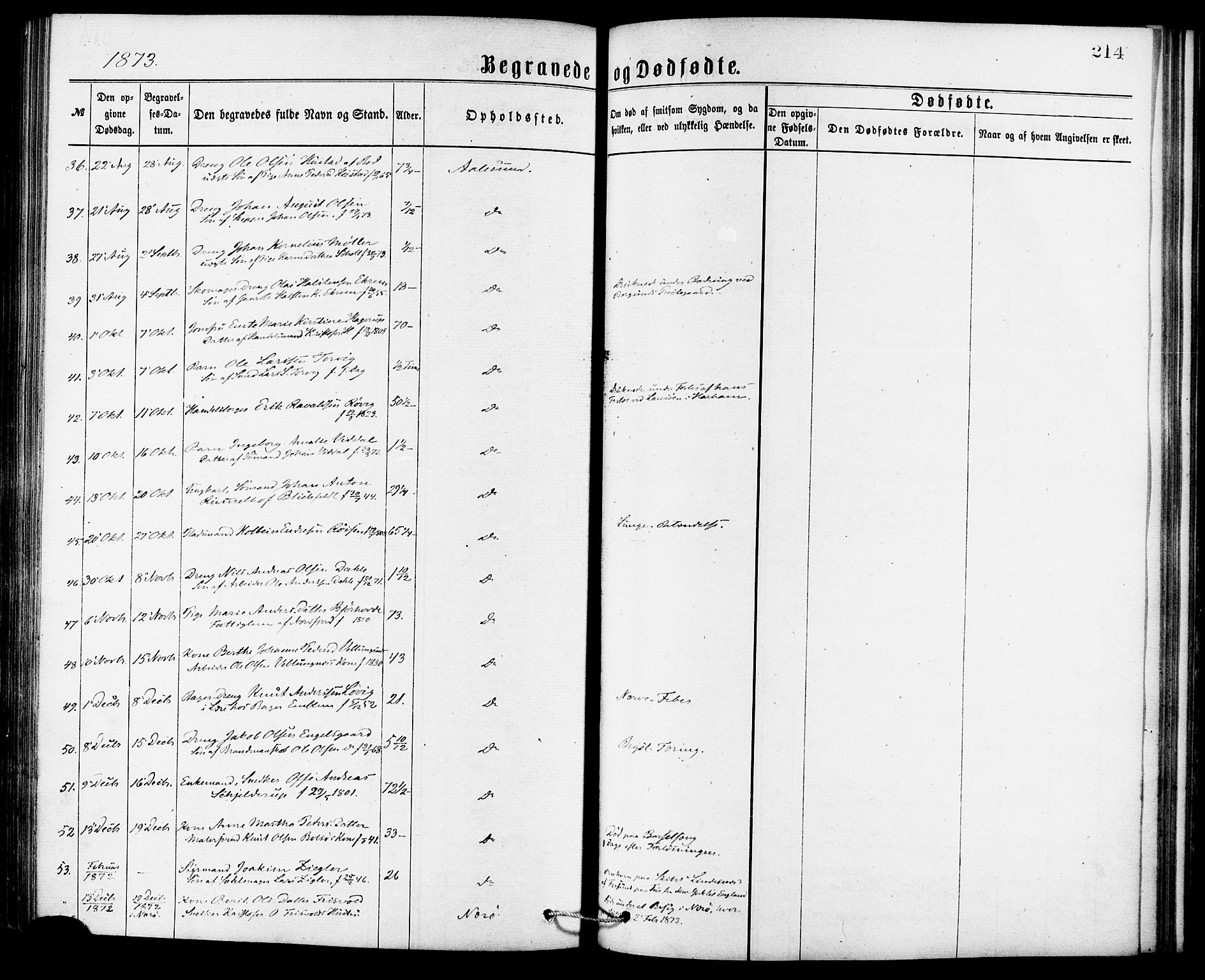 Ministerialprotokoller, klokkerbøker og fødselsregistre - Møre og Romsdal, AV/SAT-A-1454/529/L0453: Parish register (official) no. 529A03, 1872-1877, p. 214