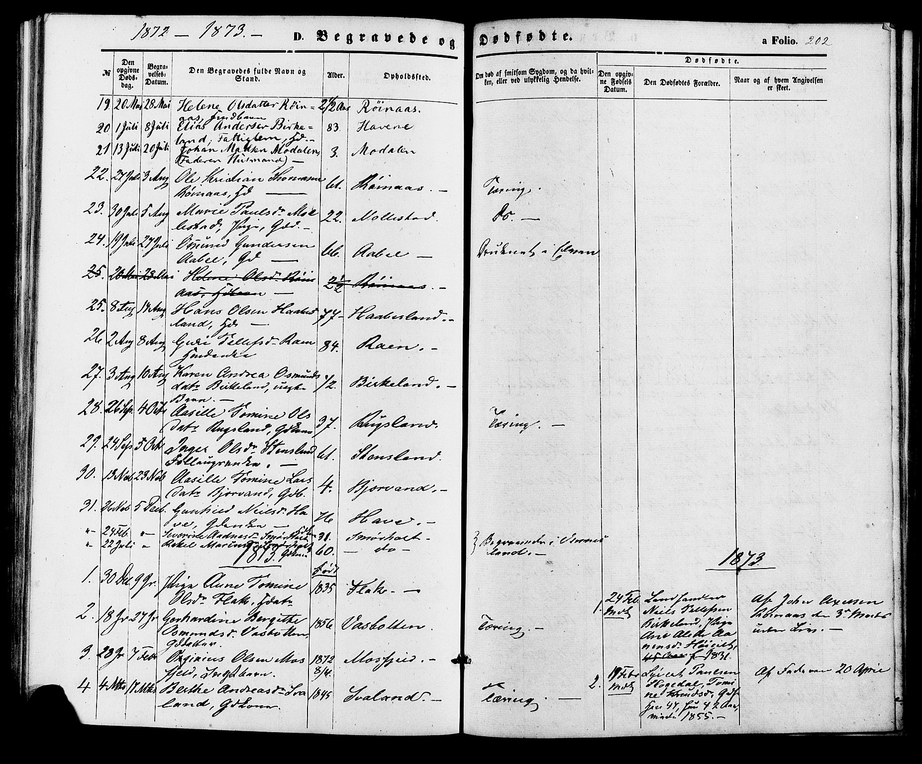 Birkenes sokneprestkontor, AV/SAK-1111-0004/F/Fa/L0004: Parish register (official) no. A 4, 1867-1886, p. 202