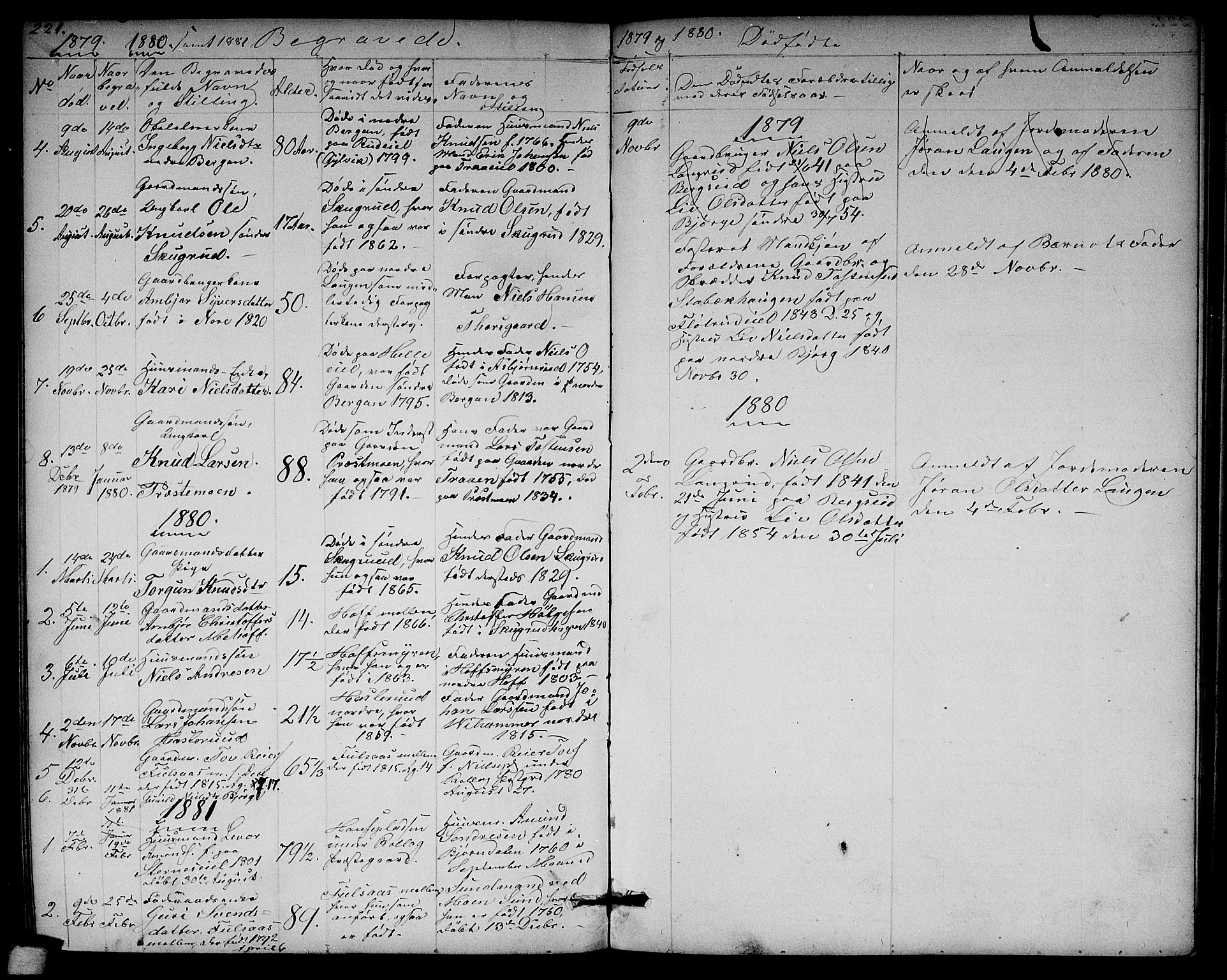 Rollag kirkebøker, SAKO/A-240/G/Ga/L0003: Parish register (copy) no. I 3, 1856-1887, p. 221