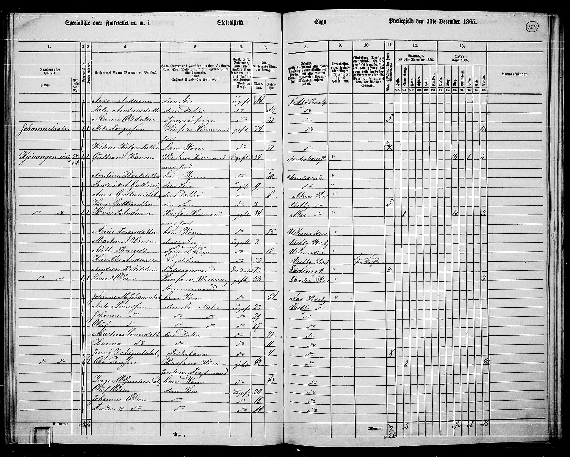 RA, 1865 census for Vestby, 1865, p. 119