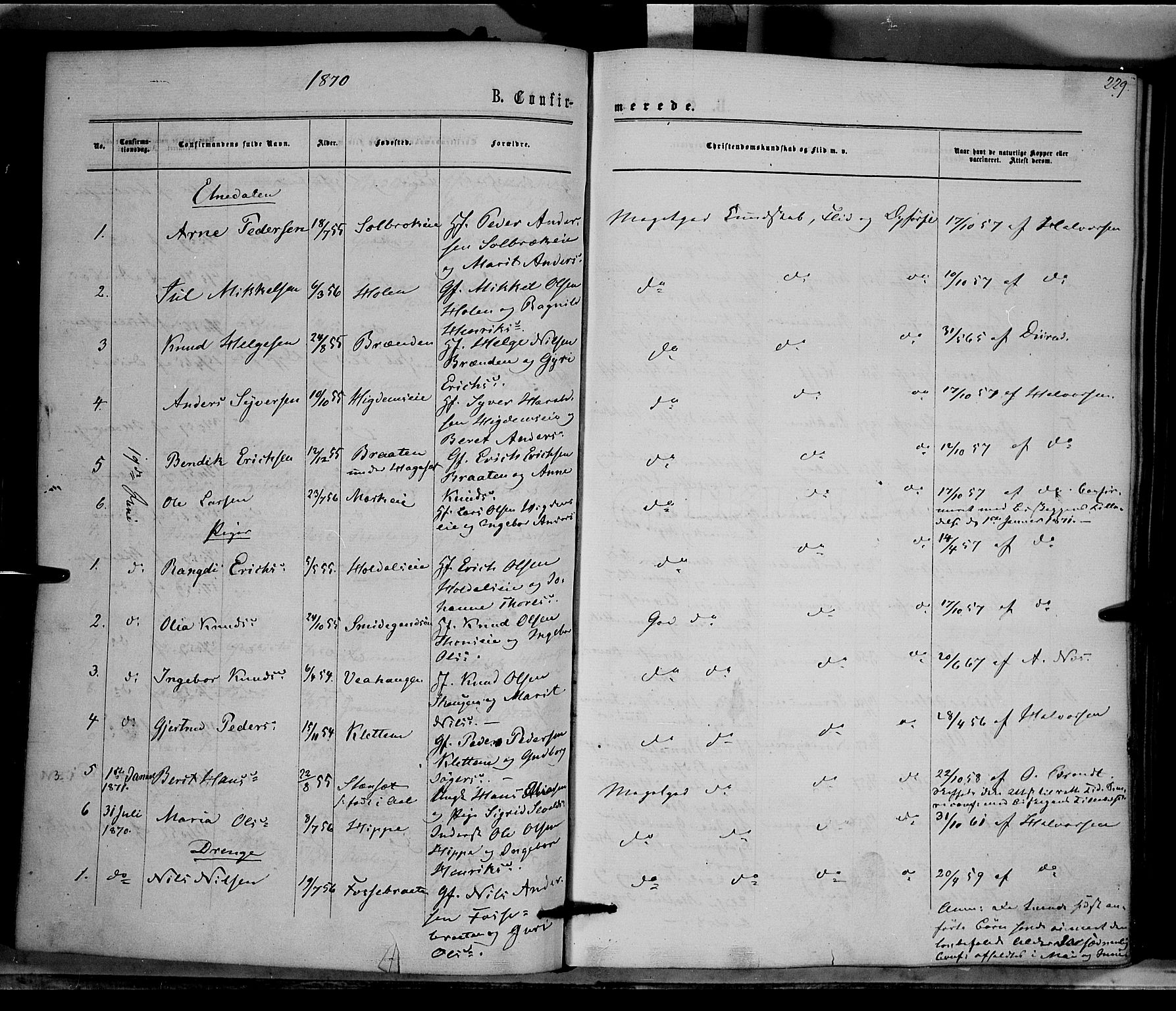 Nord-Aurdal prestekontor, SAH/PREST-132/H/Ha/Haa/L0008: Parish register (official) no. 8, 1863-1875, p. 229