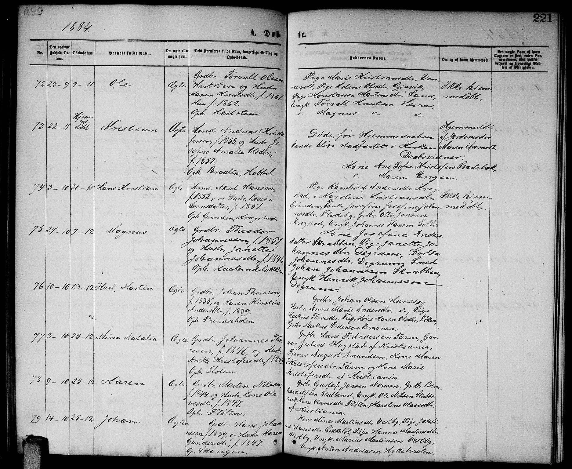 Enebakk prestekontor Kirkebøker, SAO/A-10171c/G/Ga/L0005: Parish register (copy) no. I 5, 1867-1888, p. 221