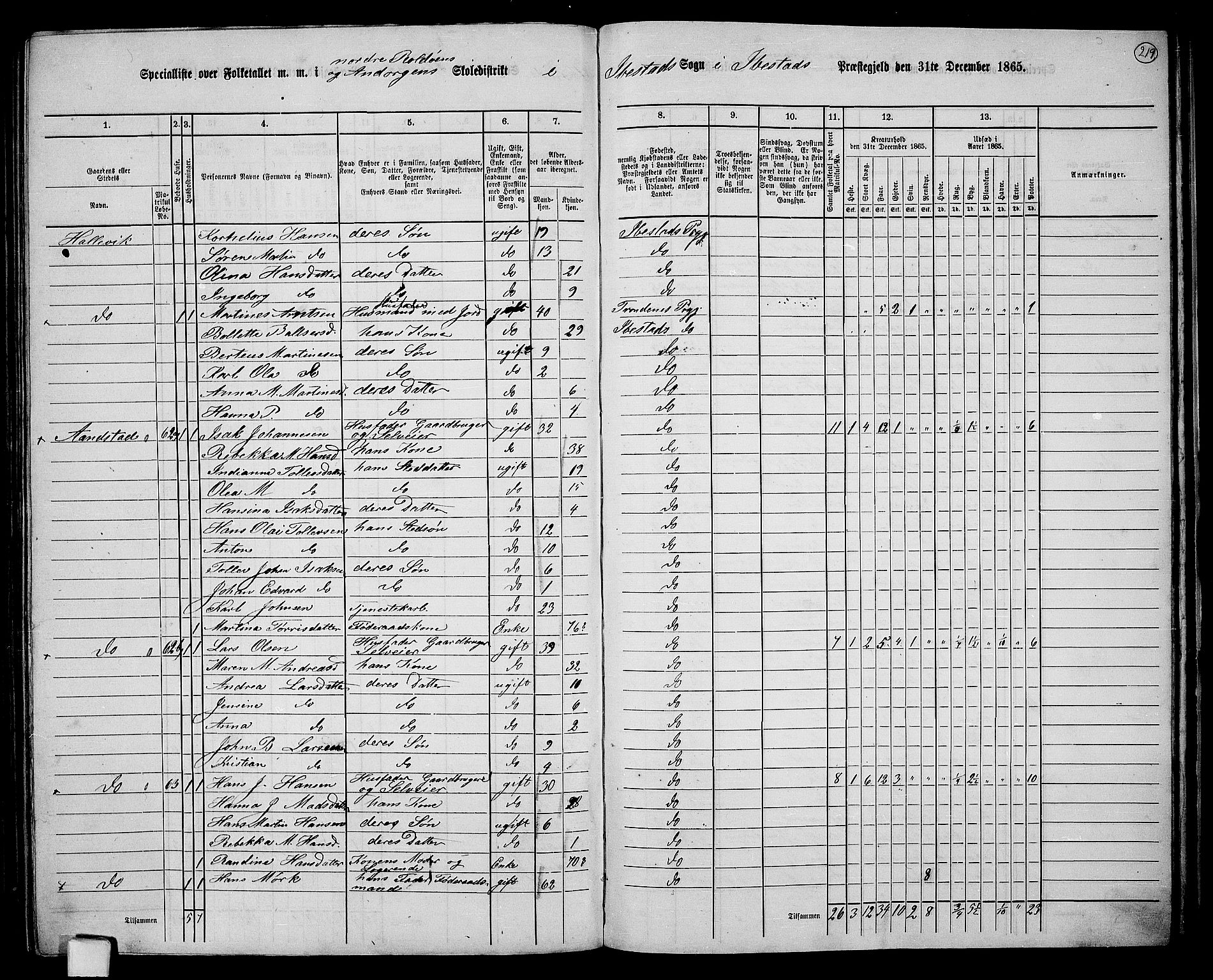 RA, 1865 census for Ibestad, 1865, p. 204