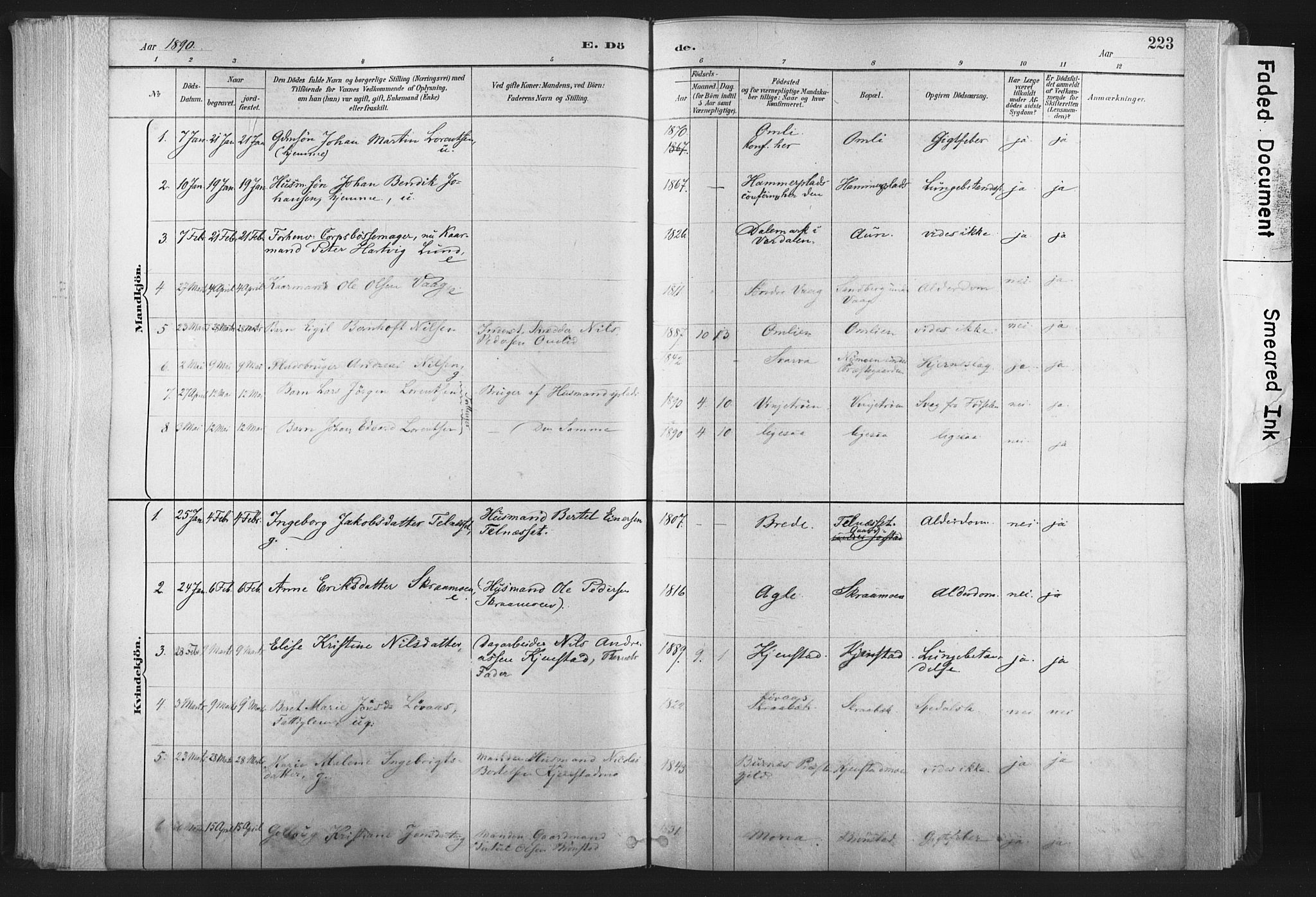 Ministerialprotokoller, klokkerbøker og fødselsregistre - Nord-Trøndelag, AV/SAT-A-1458/749/L0474: Parish register (official) no. 749A08, 1887-1903, p. 223