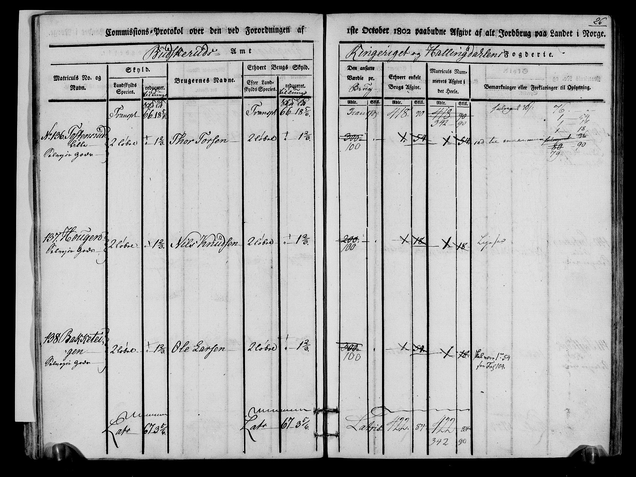 Rentekammeret inntil 1814, Realistisk ordnet avdeling, RA/EA-4070/N/Ne/Nea/L0048: Ringerike og Hallingdal fogderi. Kommisjonsprotokoll for Ål prestegjeld, 1803, p. 29