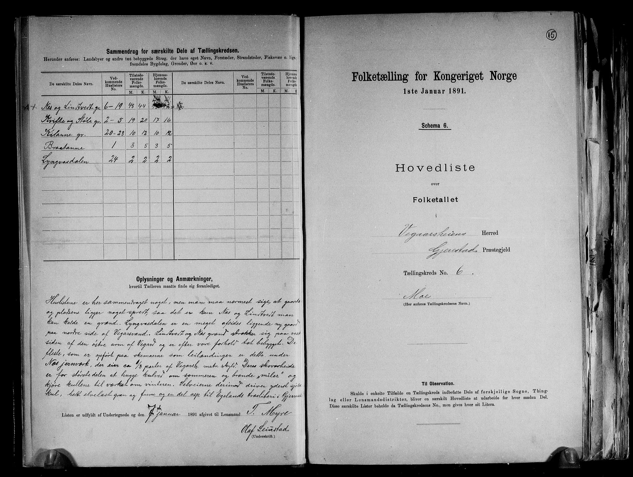 RA, 1891 census for 0912 Vegårshei, 1891, p. 15