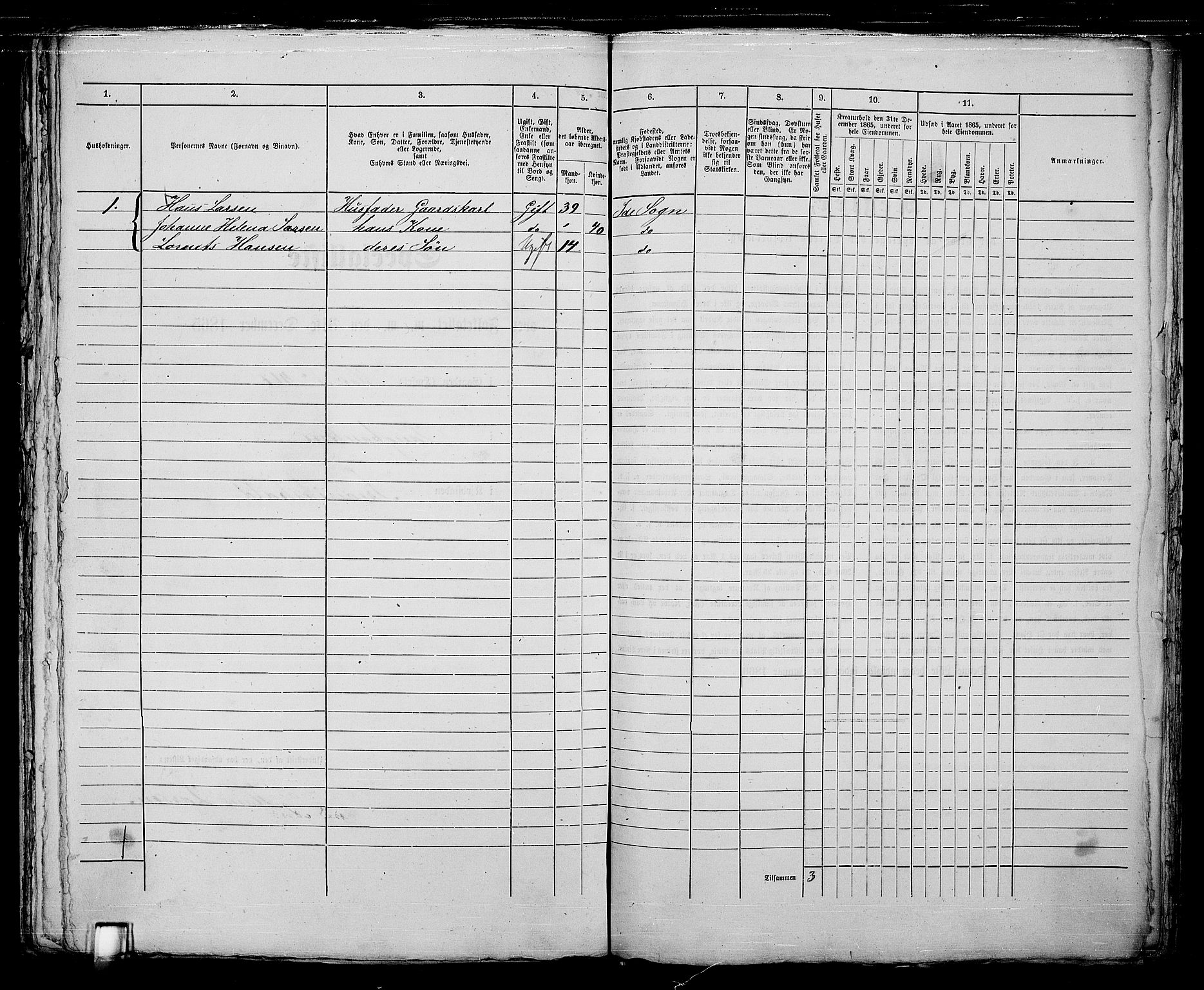 RA, 1865 census for Fredrikshald, 1865, p. 1203