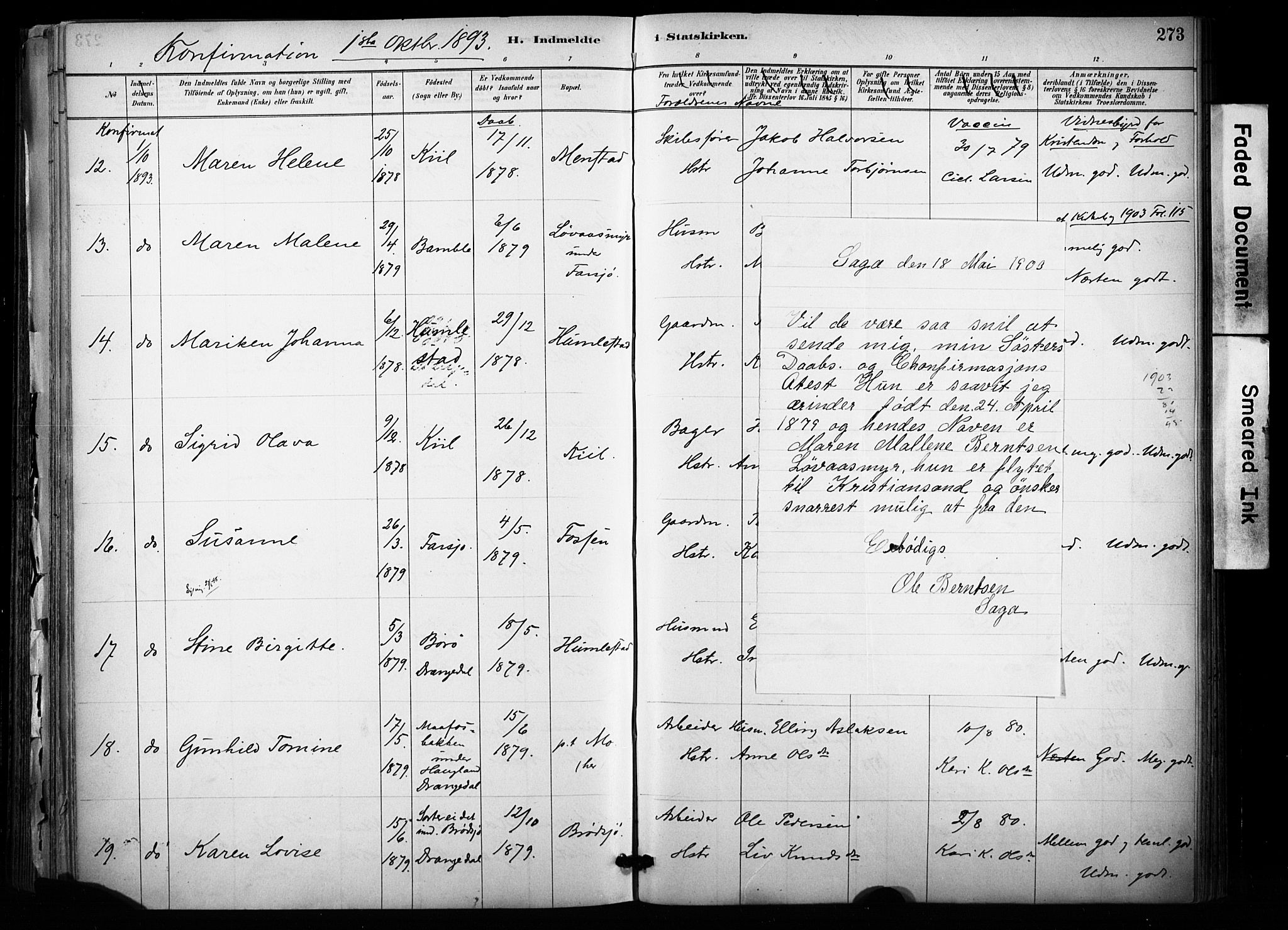 Sannidal kirkebøker, SAKO/A-296/F/Fa/L0015: Parish register (official) no. 15, 1884-1899, p. 273