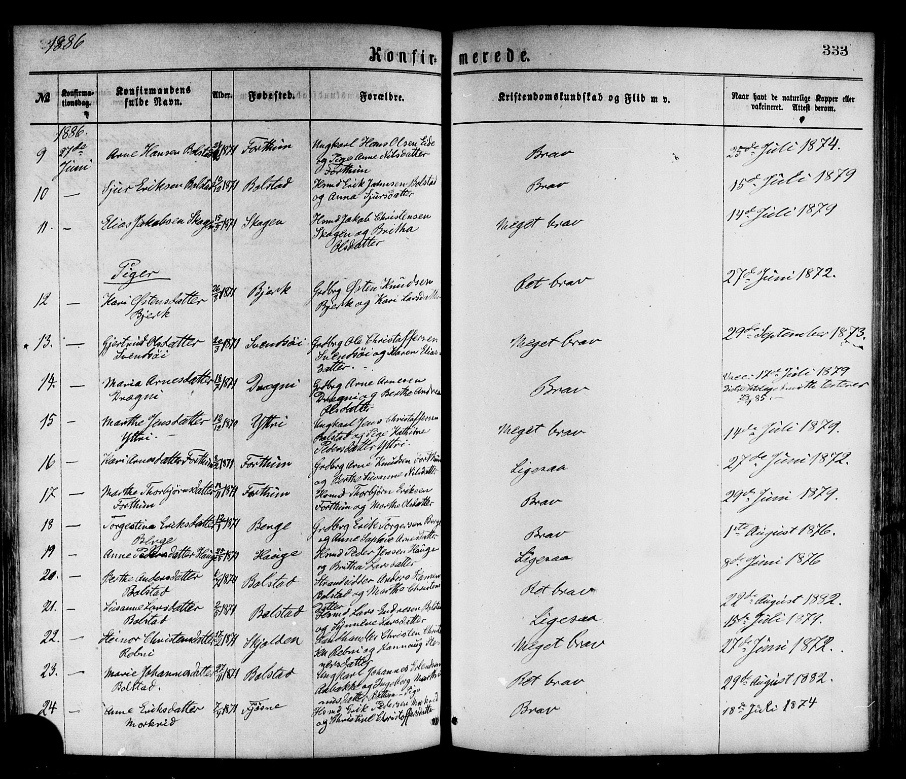 Luster sokneprestembete, AV/SAB-A-81101/H/Haa/Haaa/L0010: Parish register (official) no. A 10, 1871-1886, p. 333