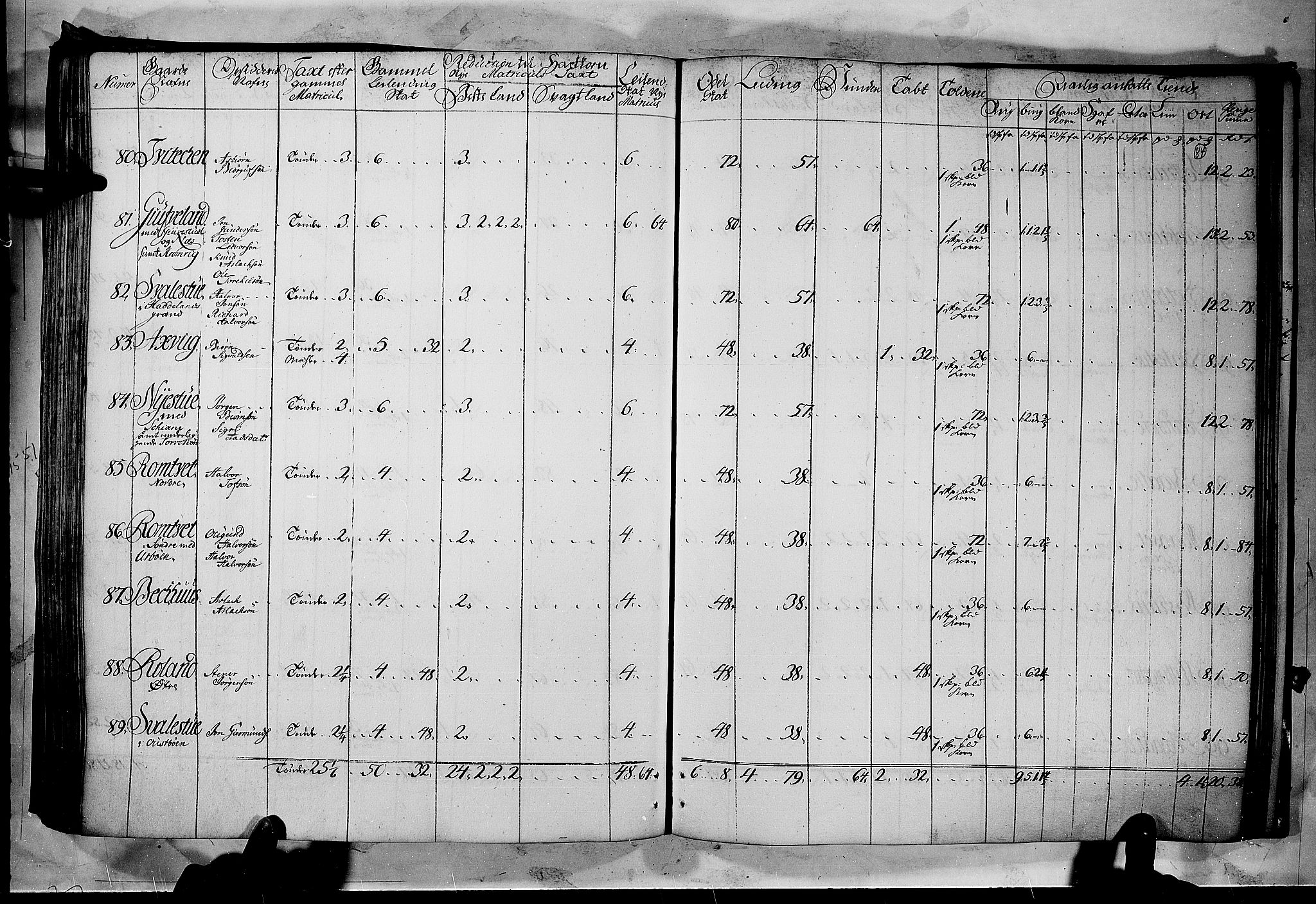 Rentekammeret inntil 1814, Realistisk ordnet avdeling, AV/RA-EA-4070/N/Nb/Nbf/L0122: Øvre og Nedre Telemark matrikkelprotokoll, 1723, p. 83b-84a