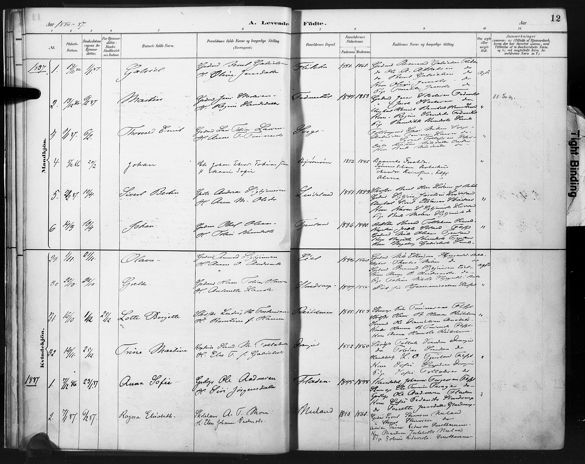 Flekkefjord sokneprestkontor, AV/SAK-1111-0012/F/Fa/Fac/L0008: Parish register (official) no. A 8, 1885-1898, p. 12