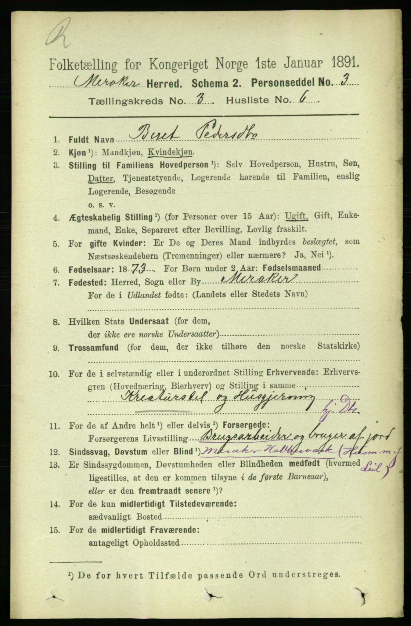 RA, 1891 census for 1711 Meråker, 1891, p. 1161