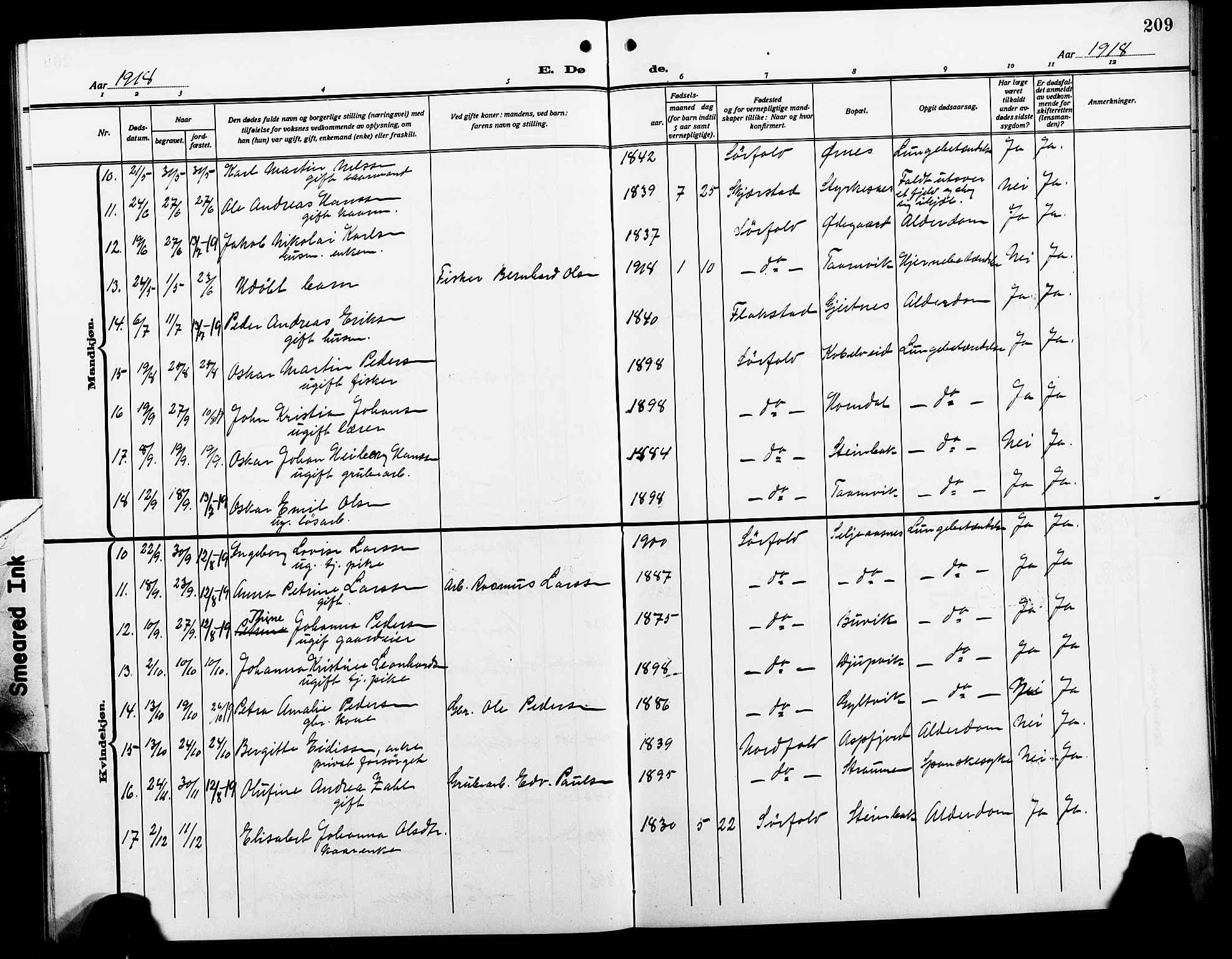 Ministerialprotokoller, klokkerbøker og fødselsregistre - Nordland, AV/SAT-A-1459/854/L0787: Parish register (copy) no. 854C03, 1913-1926, p. 209