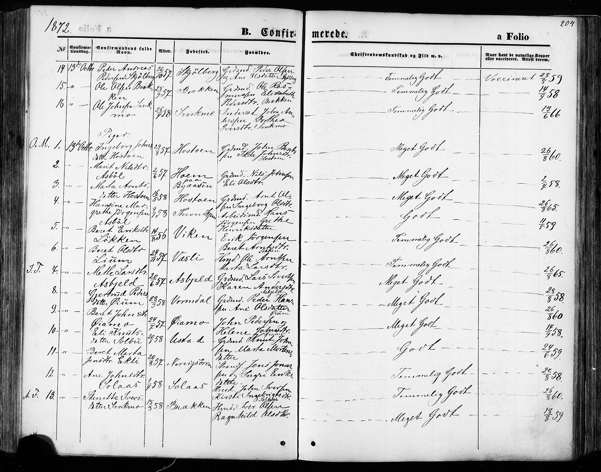 Ministerialprotokoller, klokkerbøker og fødselsregistre - Sør-Trøndelag, AV/SAT-A-1456/668/L0807: Parish register (official) no. 668A07, 1870-1880, p. 204