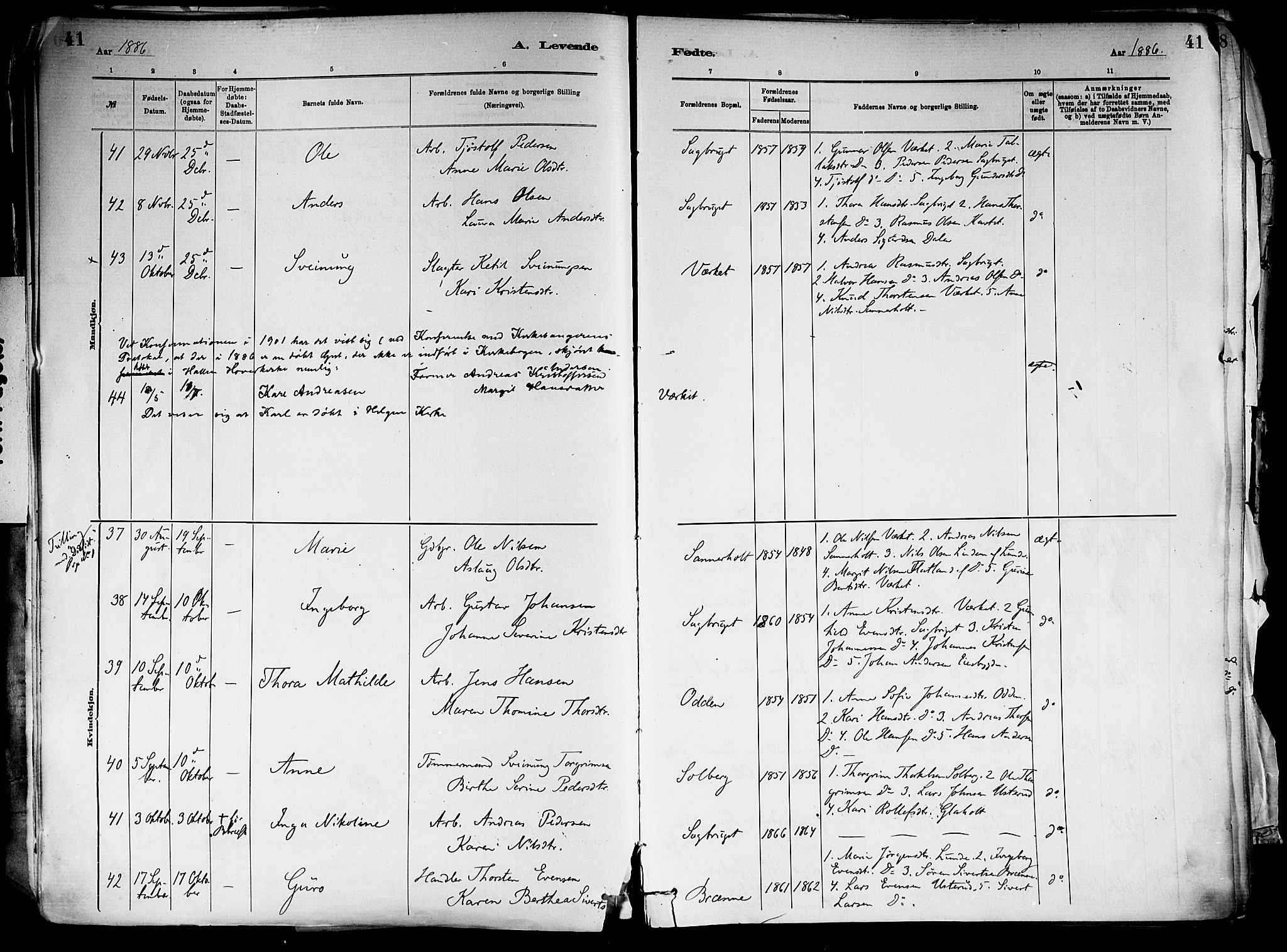 Holla kirkebøker, AV/SAKO-A-272/F/Fa/L0008: Parish register (official) no. 8, 1882-1897, p. 41