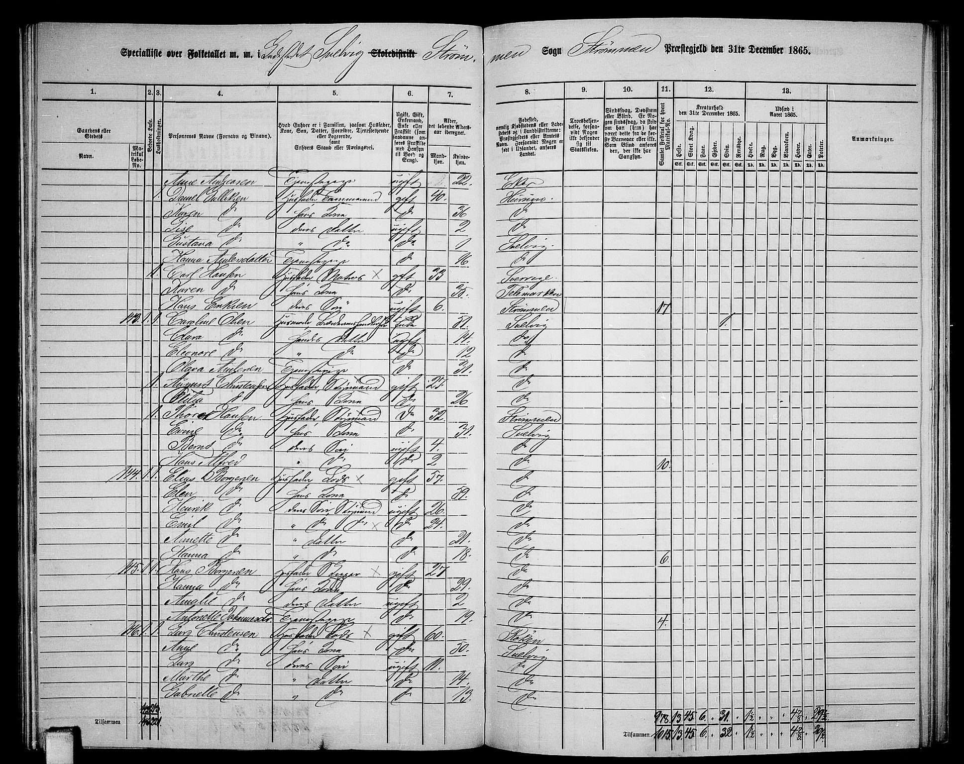 RA, 1865 census for Strømm, 1865, p. 95