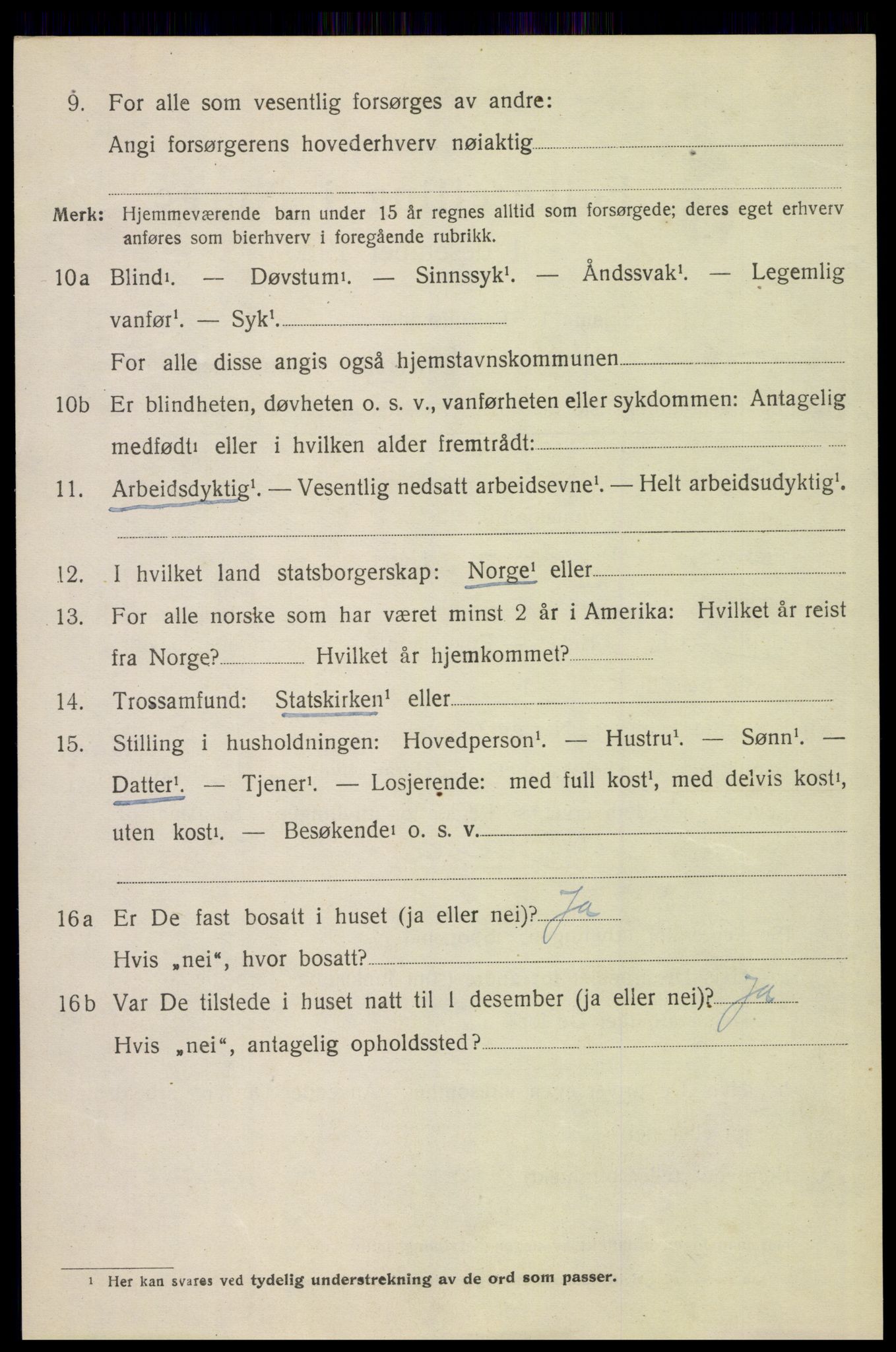 SAH, 1920 census for Hof, 1920, p. 2916