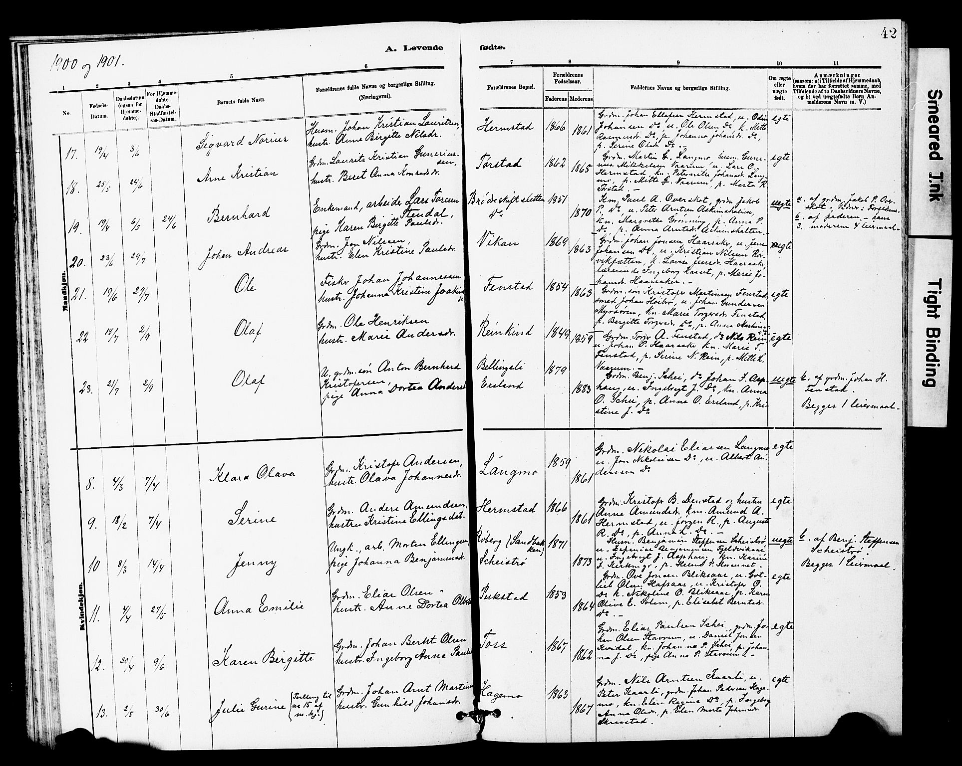 Ministerialprotokoller, klokkerbøker og fødselsregistre - Sør-Trøndelag, SAT/A-1456/646/L0628: Parish register (copy) no. 646C01, 1880-1903, p. 42