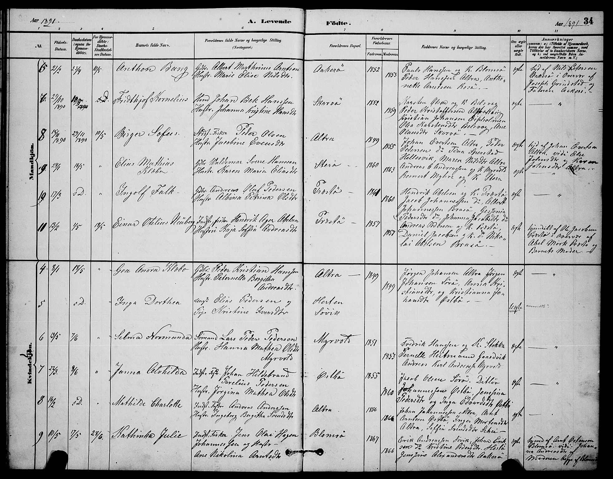 Ministerialprotokoller, klokkerbøker og fødselsregistre - Nordland, AV/SAT-A-1459/830/L0462: Parish register (copy) no. 830C04, 1882-1895, p. 34
