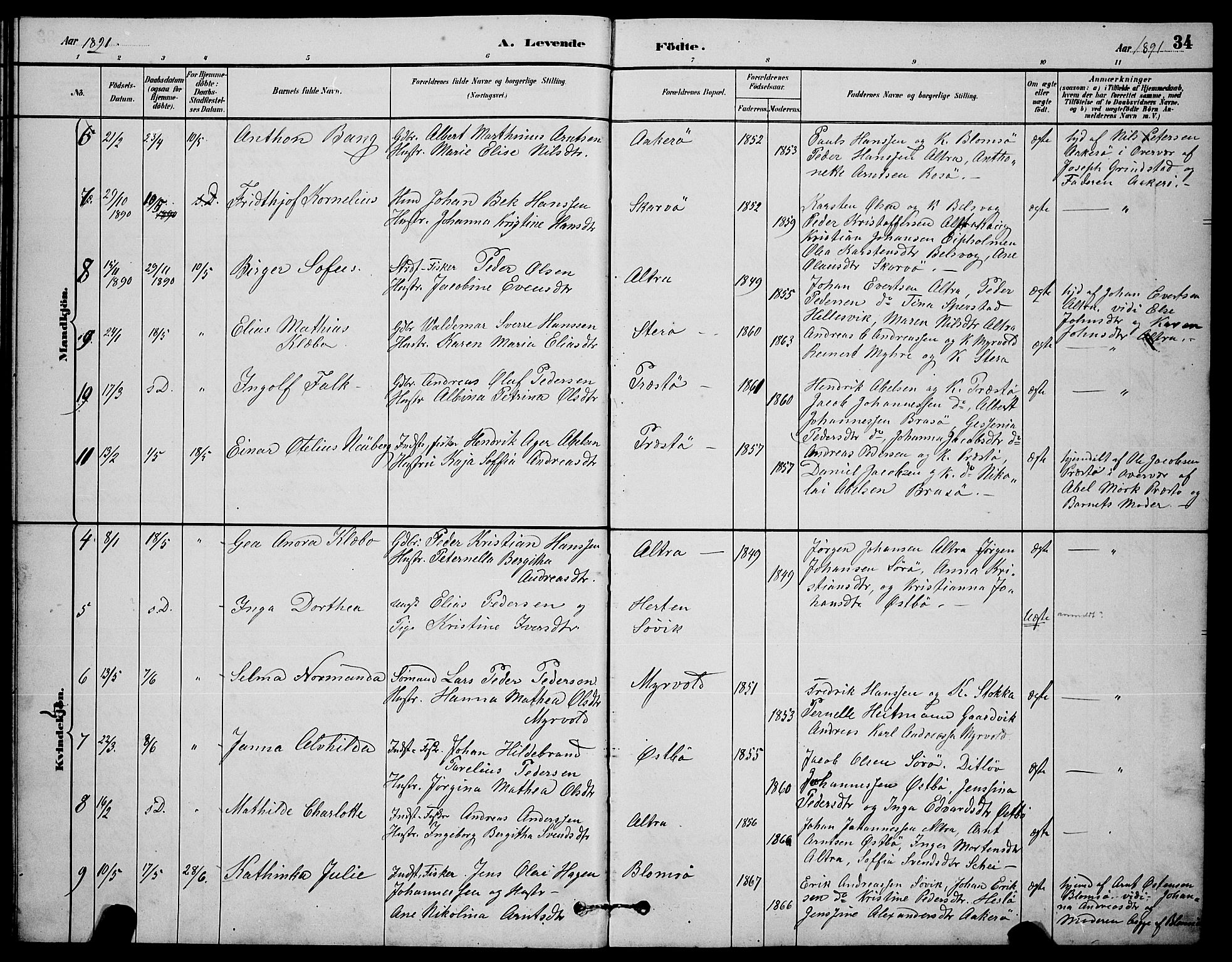 Ministerialprotokoller, klokkerbøker og fødselsregistre - Nordland, AV/SAT-A-1459/830/L0462: Parish register (copy) no. 830C04, 1882-1895, p. 34