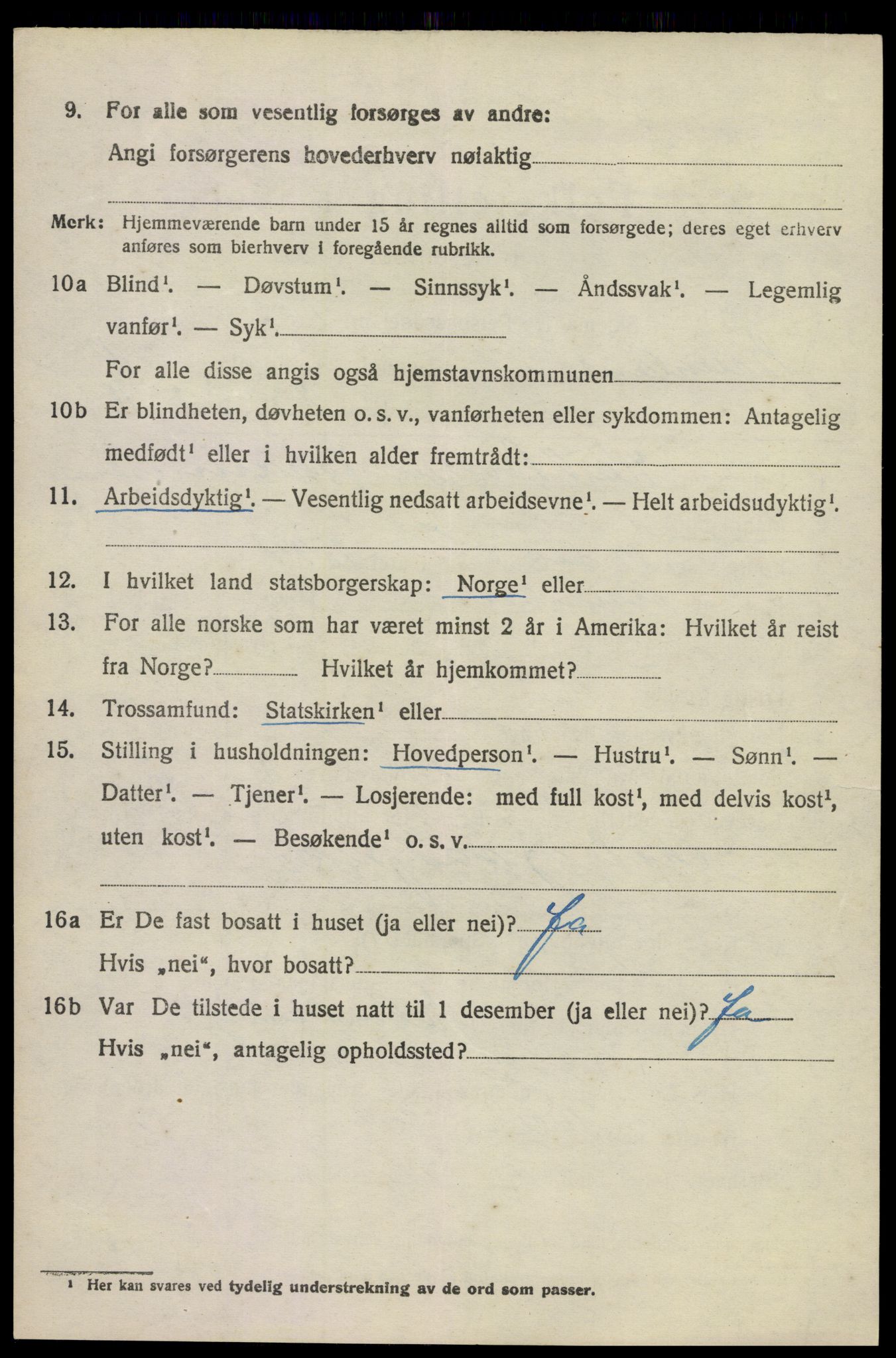 SAKO, 1920 census for Brunlanes, 1920, p. 10504