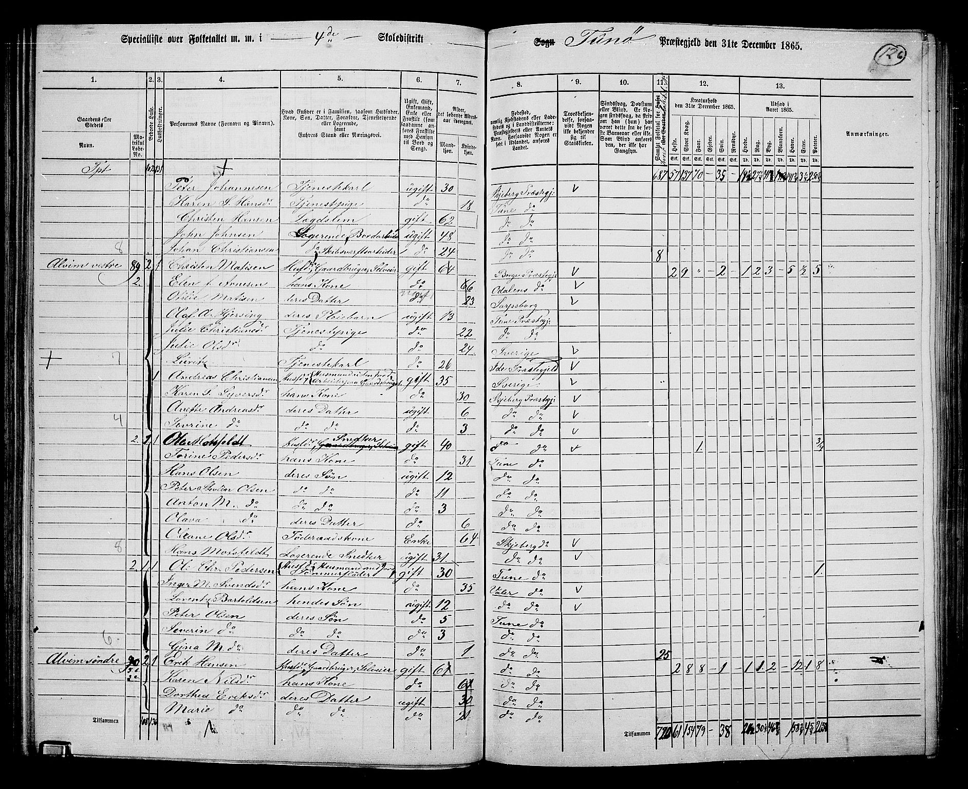 RA, 1865 census for Tune, 1865, p. 119