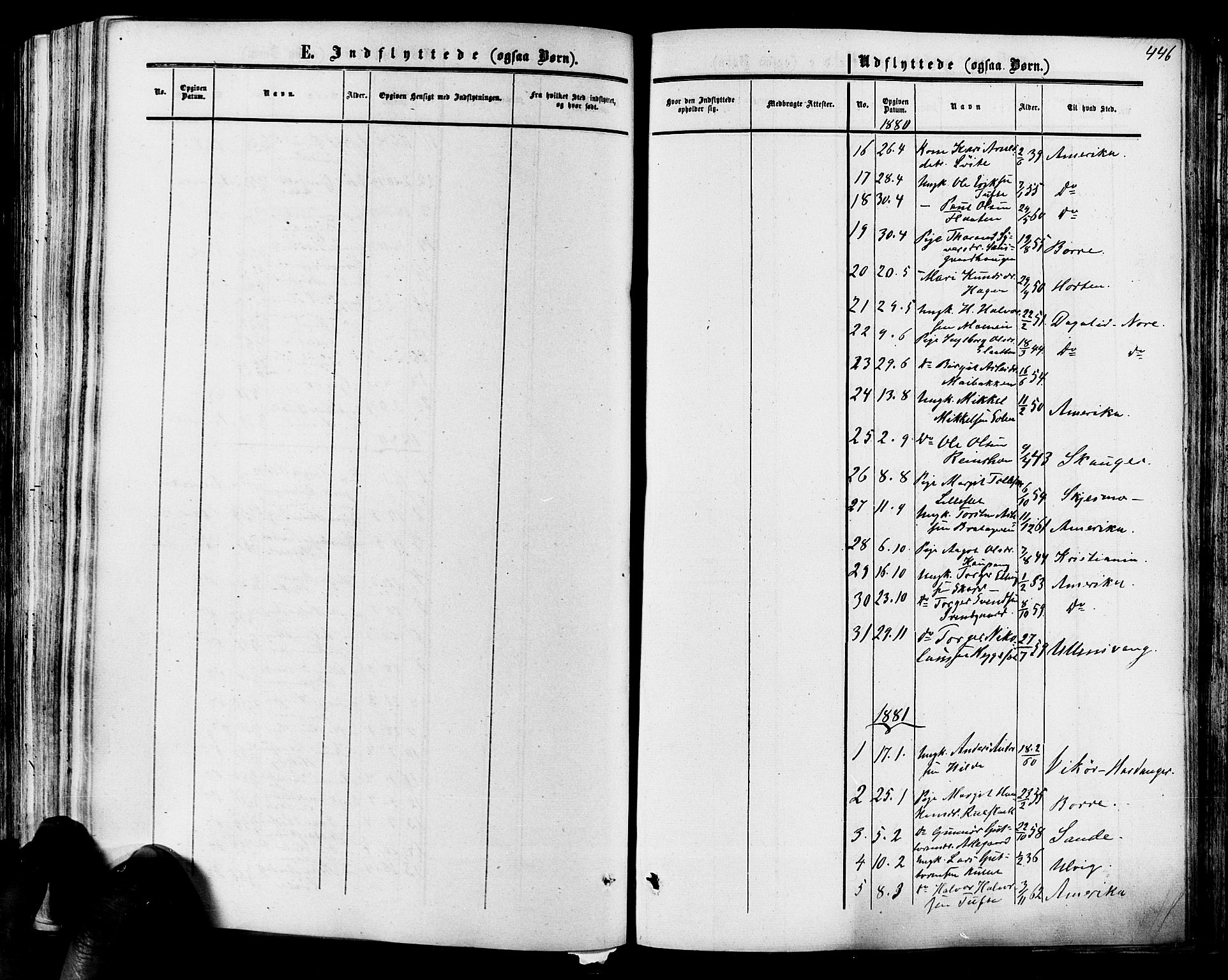 Hol kirkebøker, AV/SAKO-A-227/F/Fa/L0002: Parish register (official) no. I 2, 1870-1886, p. 446